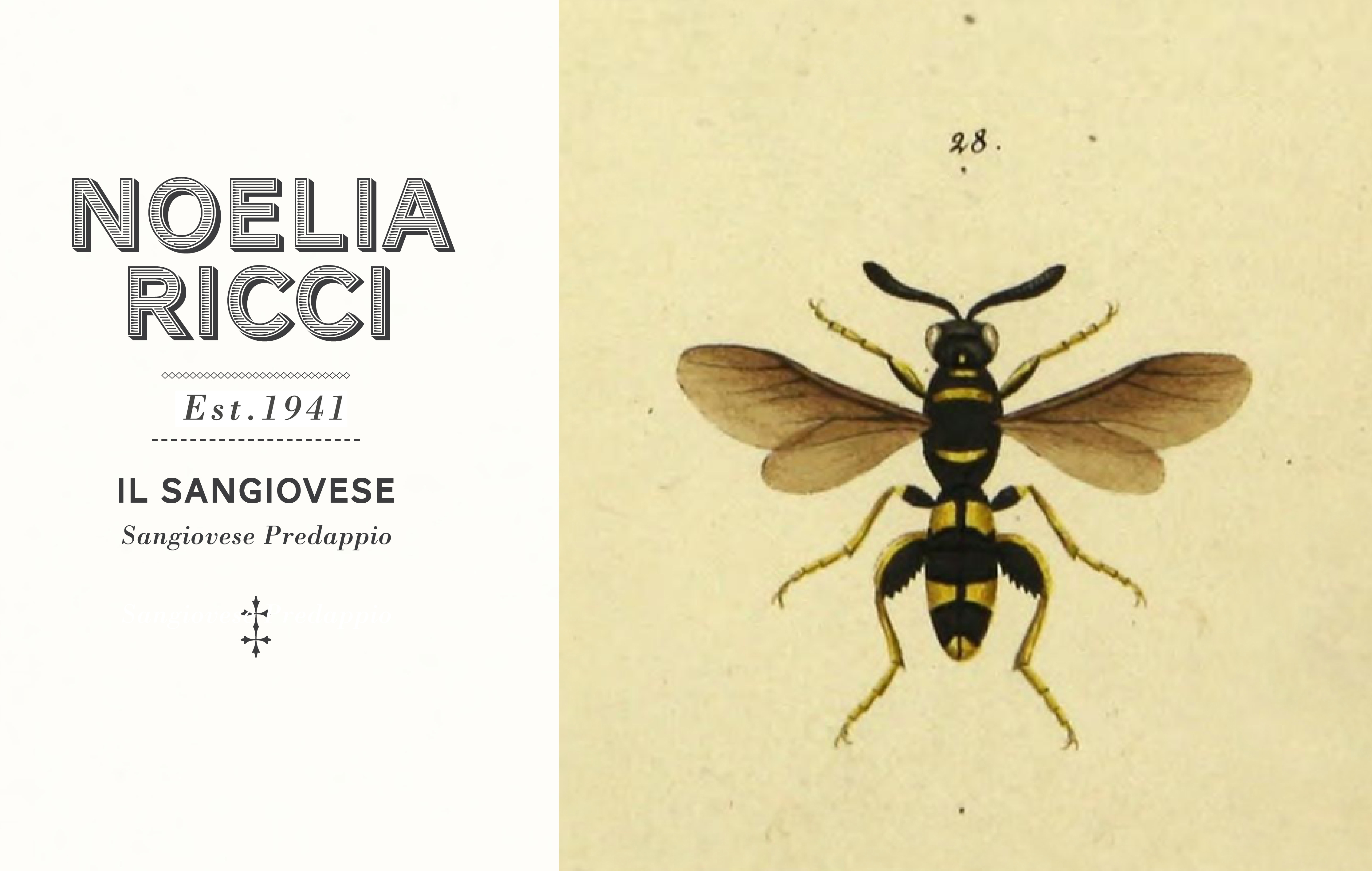 NOELIA-RICCI_IL-SANGIOVESE_ETICHETTA