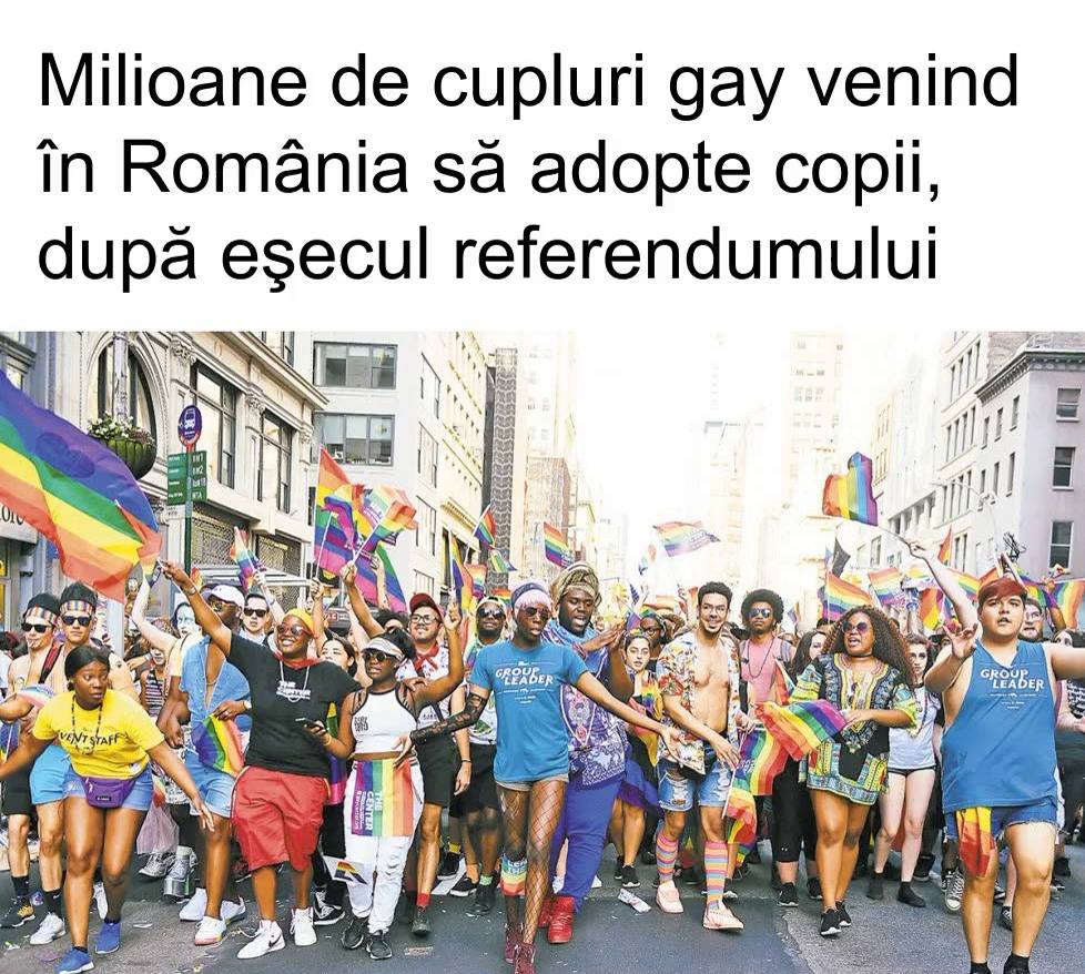 meme referendum gay