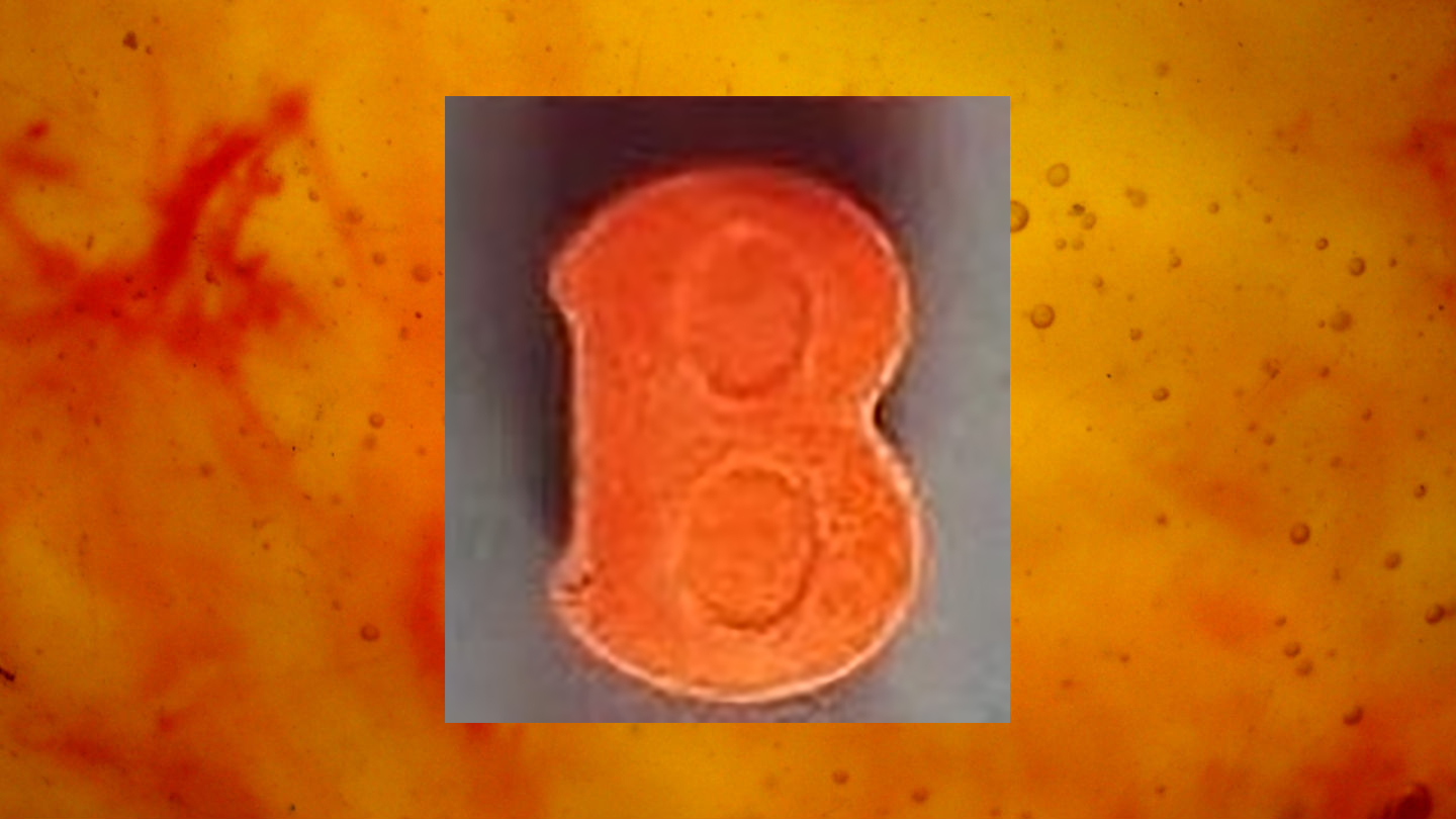 1544784015052-ecstasy_pille_orange_Bitcoin