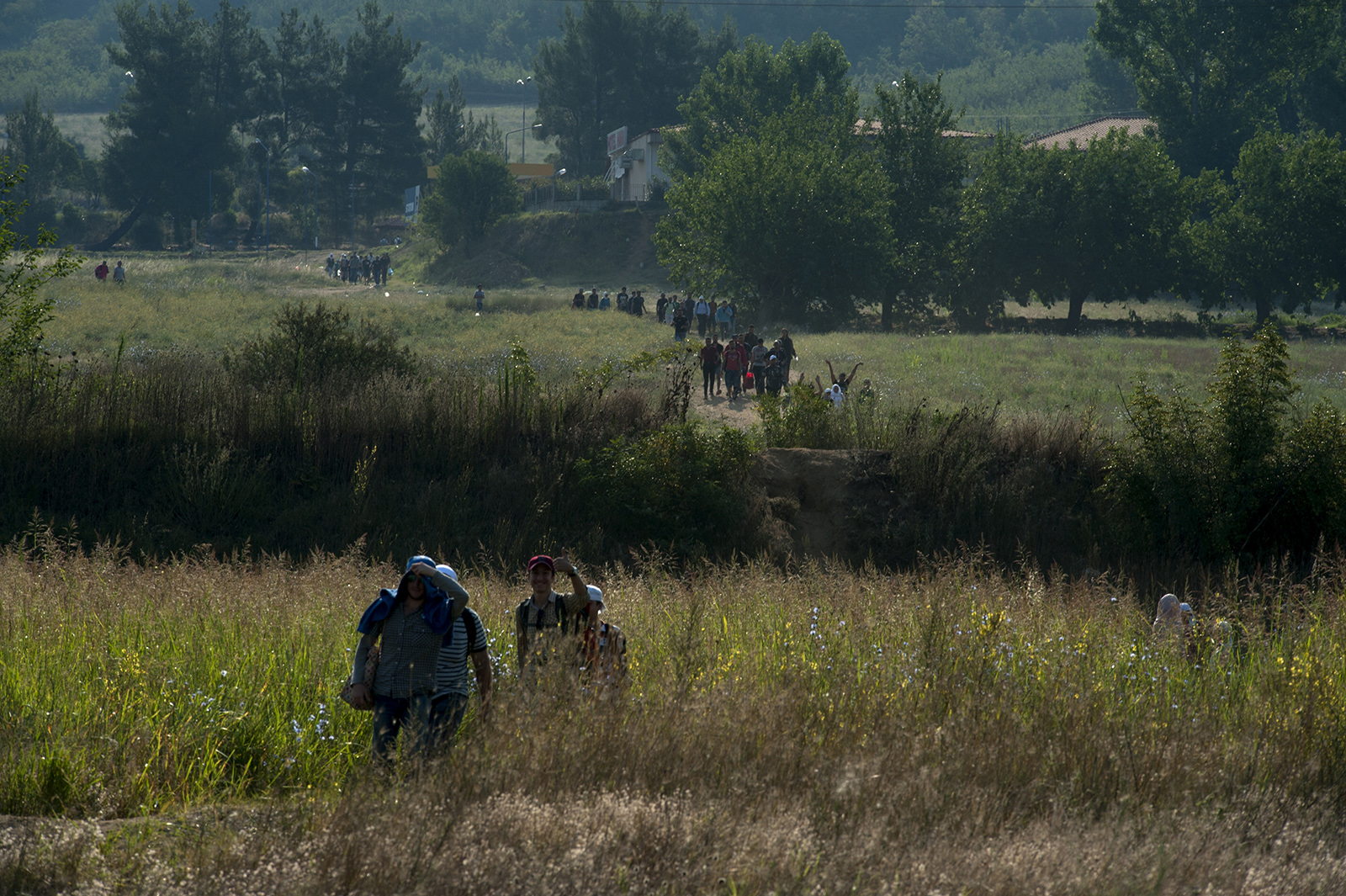1544802120275-_DSC6852