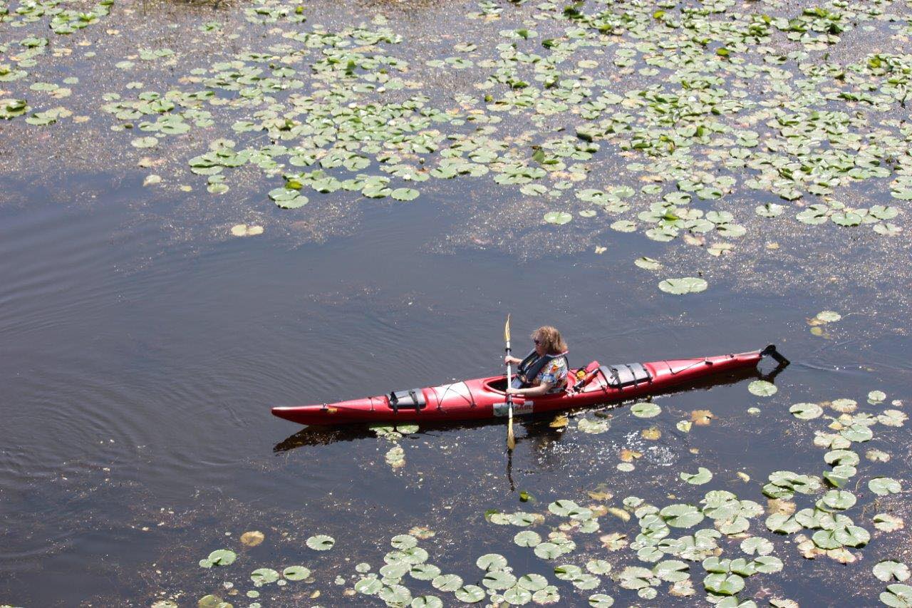 Kayak