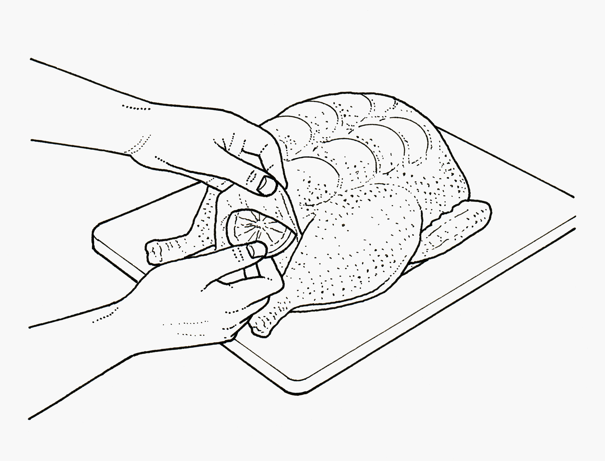 lemon in raw chicken illo