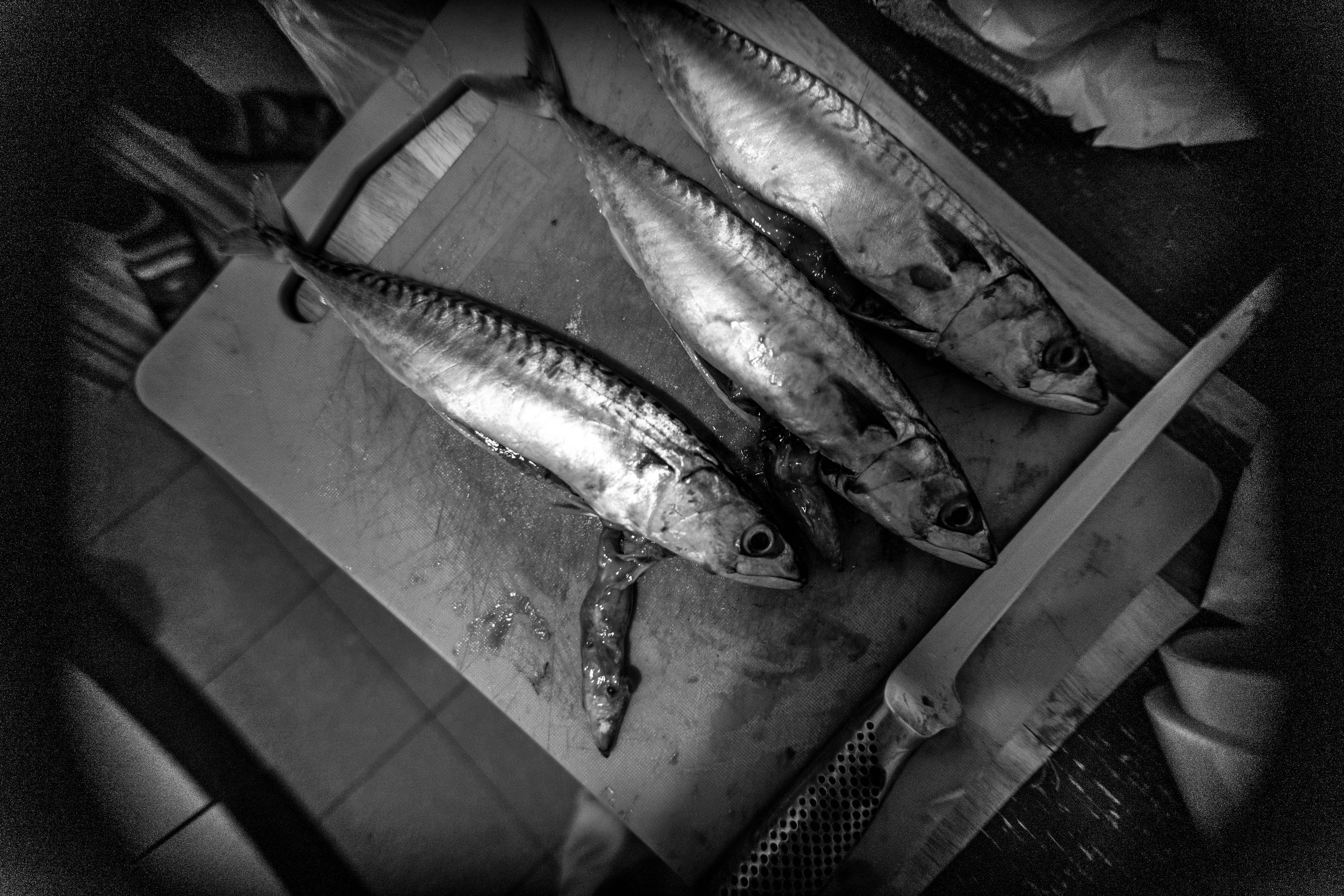 Sarde menu di natale