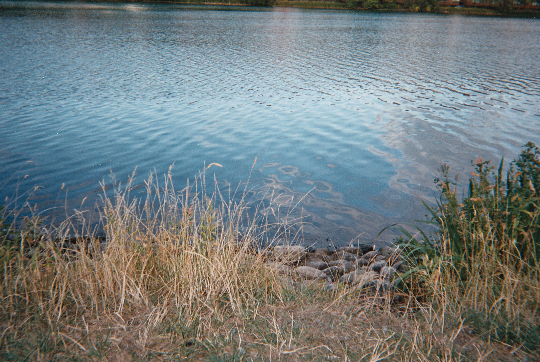1545399012405-Photo24_24