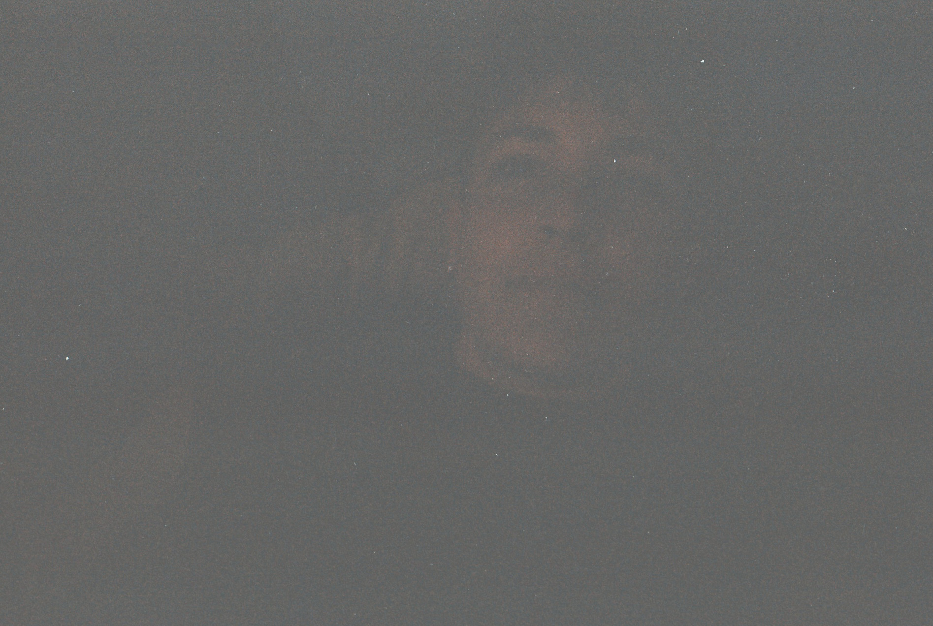 1545399132728-Photo28_28