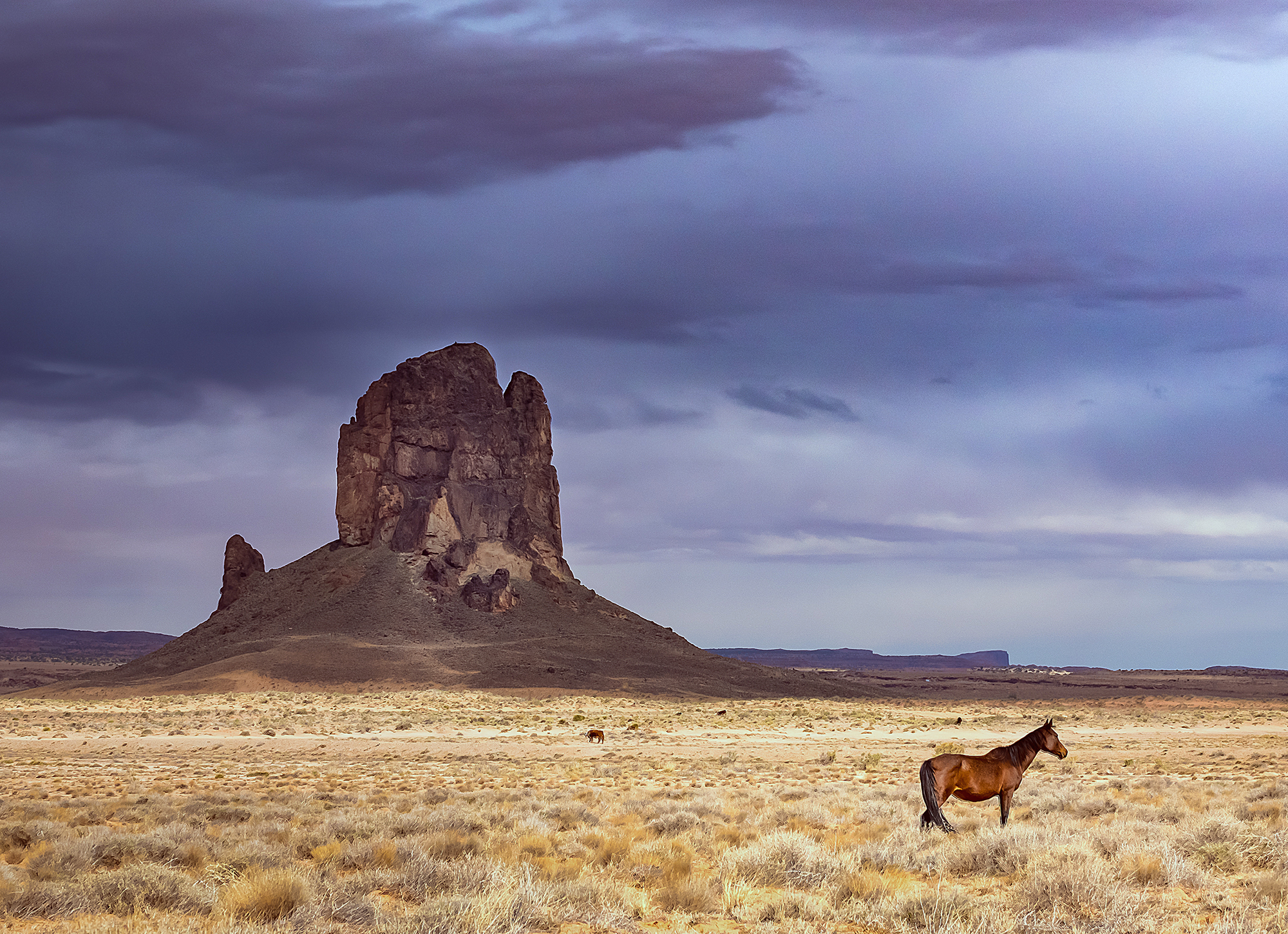 1545562837020-Wild-Horse-Monument-Valley-Arizona