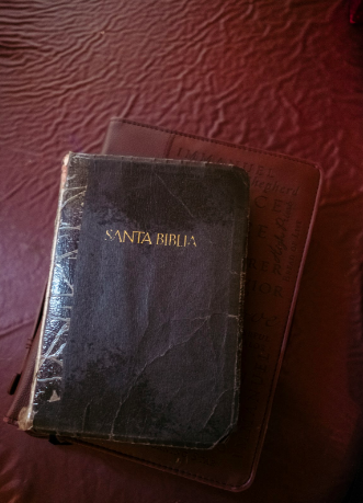 Santa Biblia