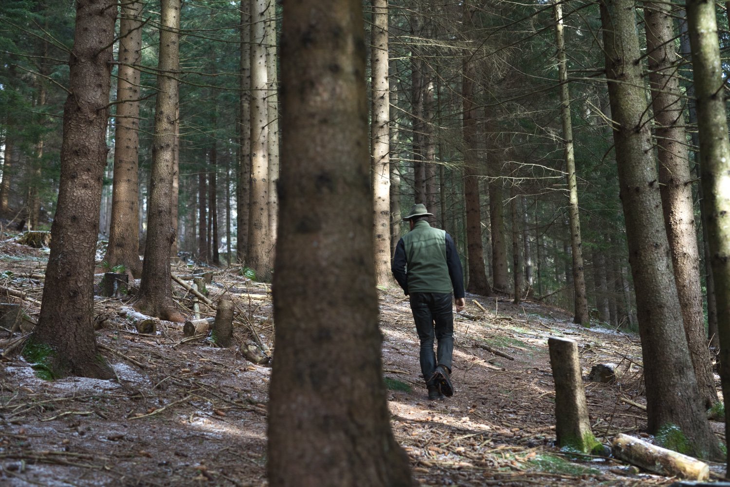 Ein Jäger im Wald