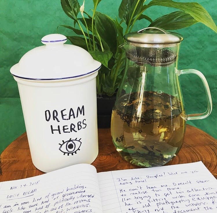 Tree-Carr-Conscious-Dreaming-1-of-6