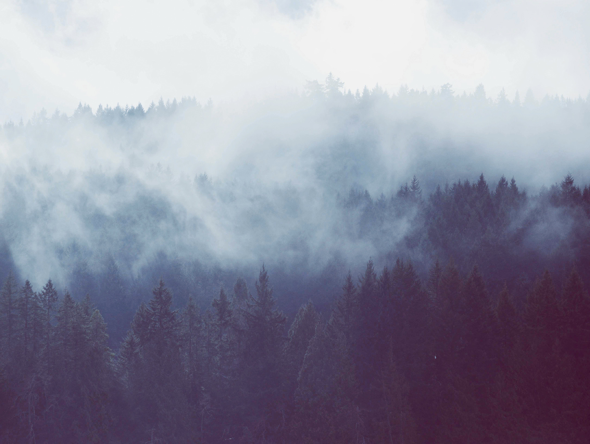Tree-Carr-Conscious-Dreaming-4-of-5