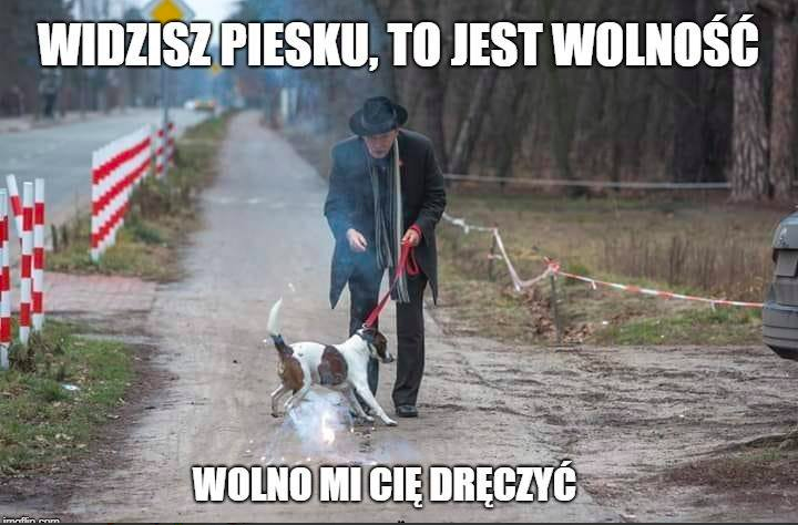 meme z Januszem Korwin-Mikkem