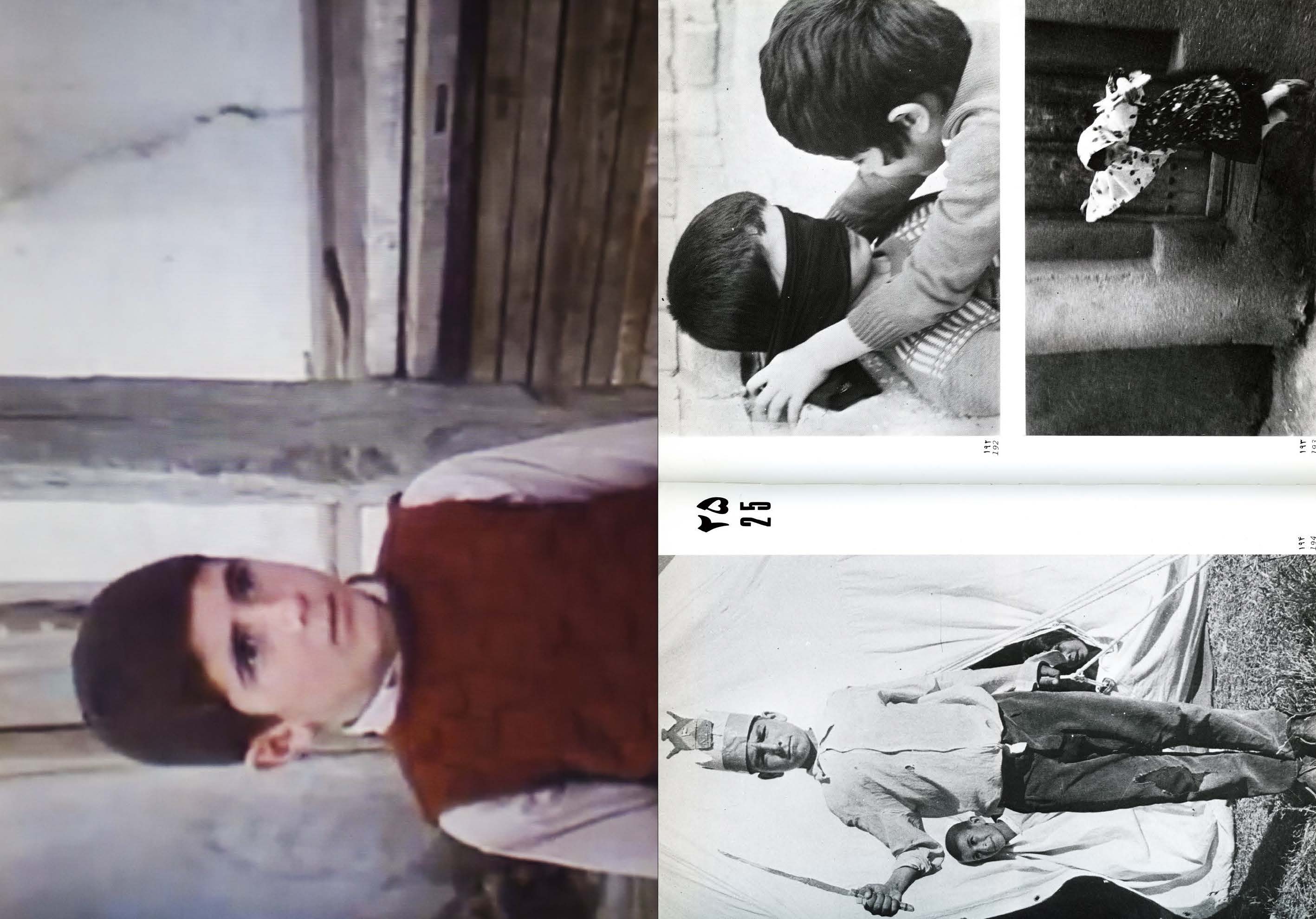 Pages de 181110_Hannah_Darabi_Iranian_Books