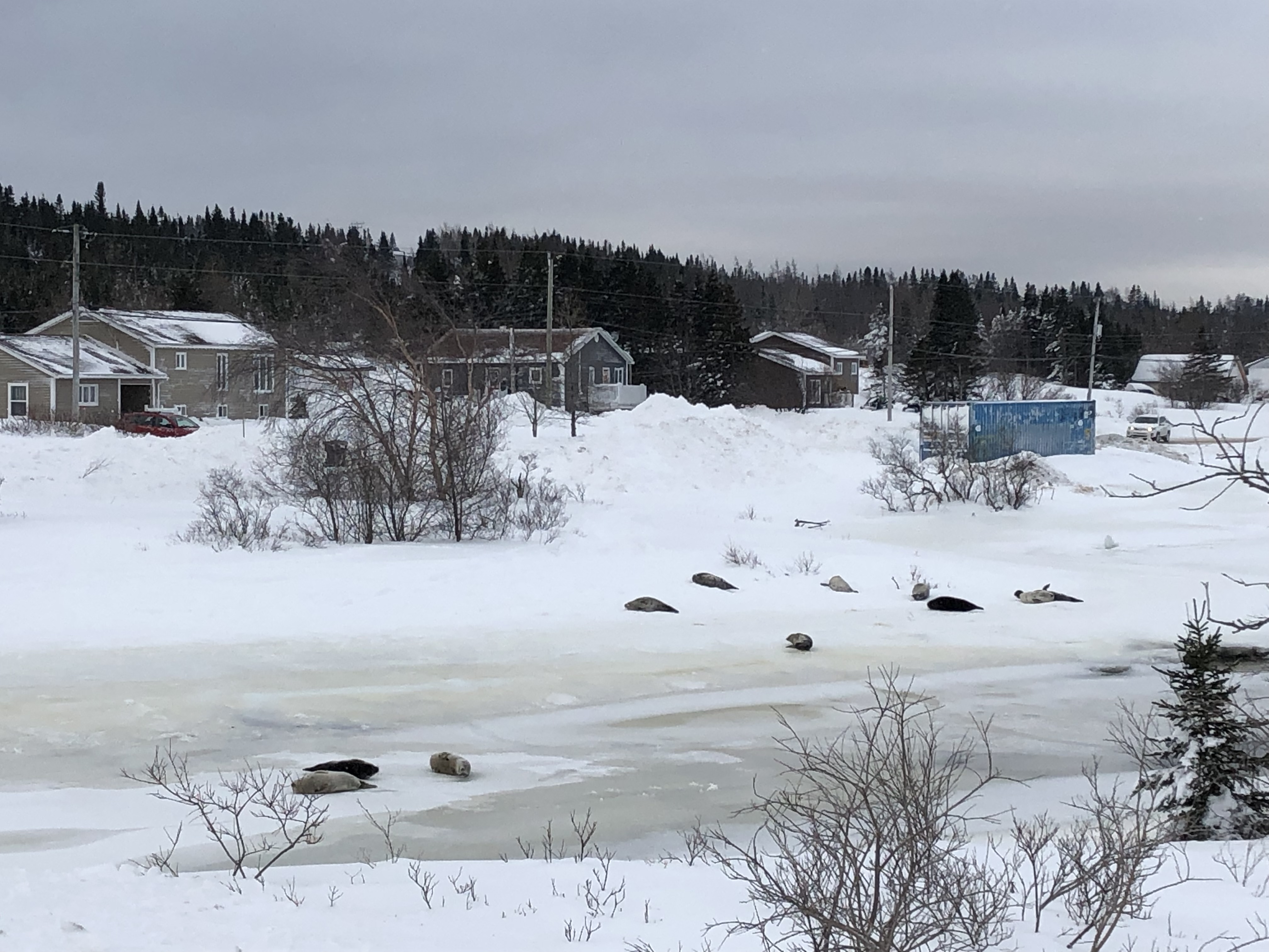 1547150799872-image1