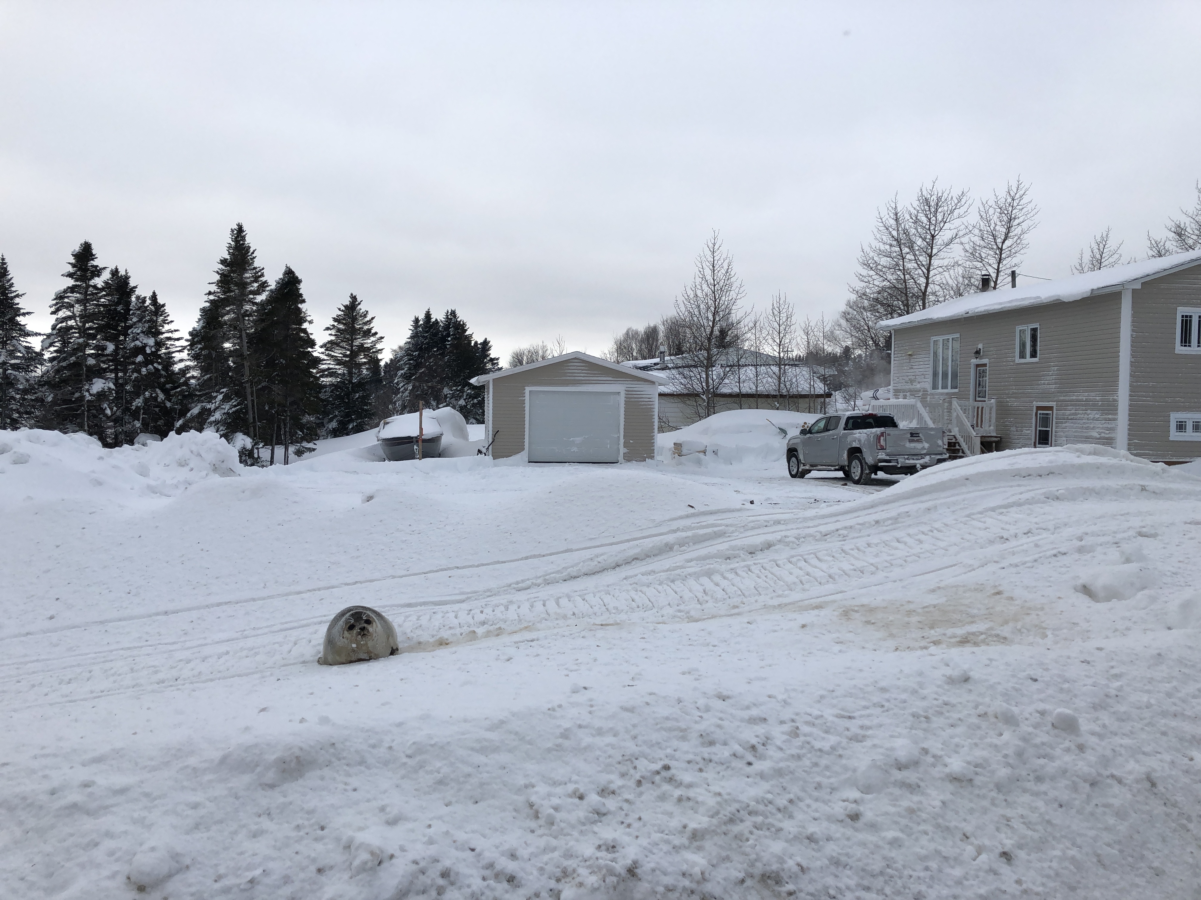 1547150819616-image2