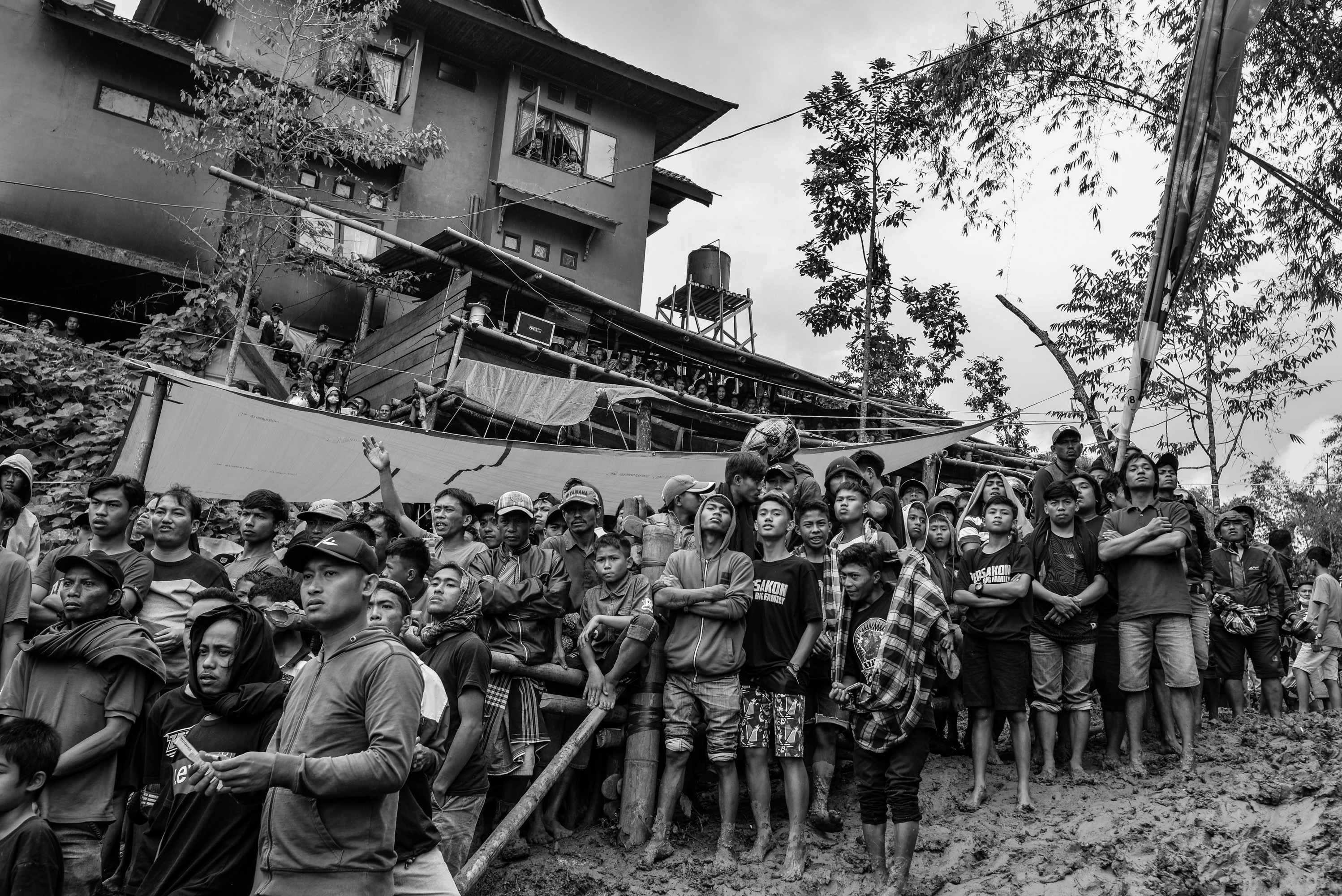 1547200765041-Tedong-Silaga-13