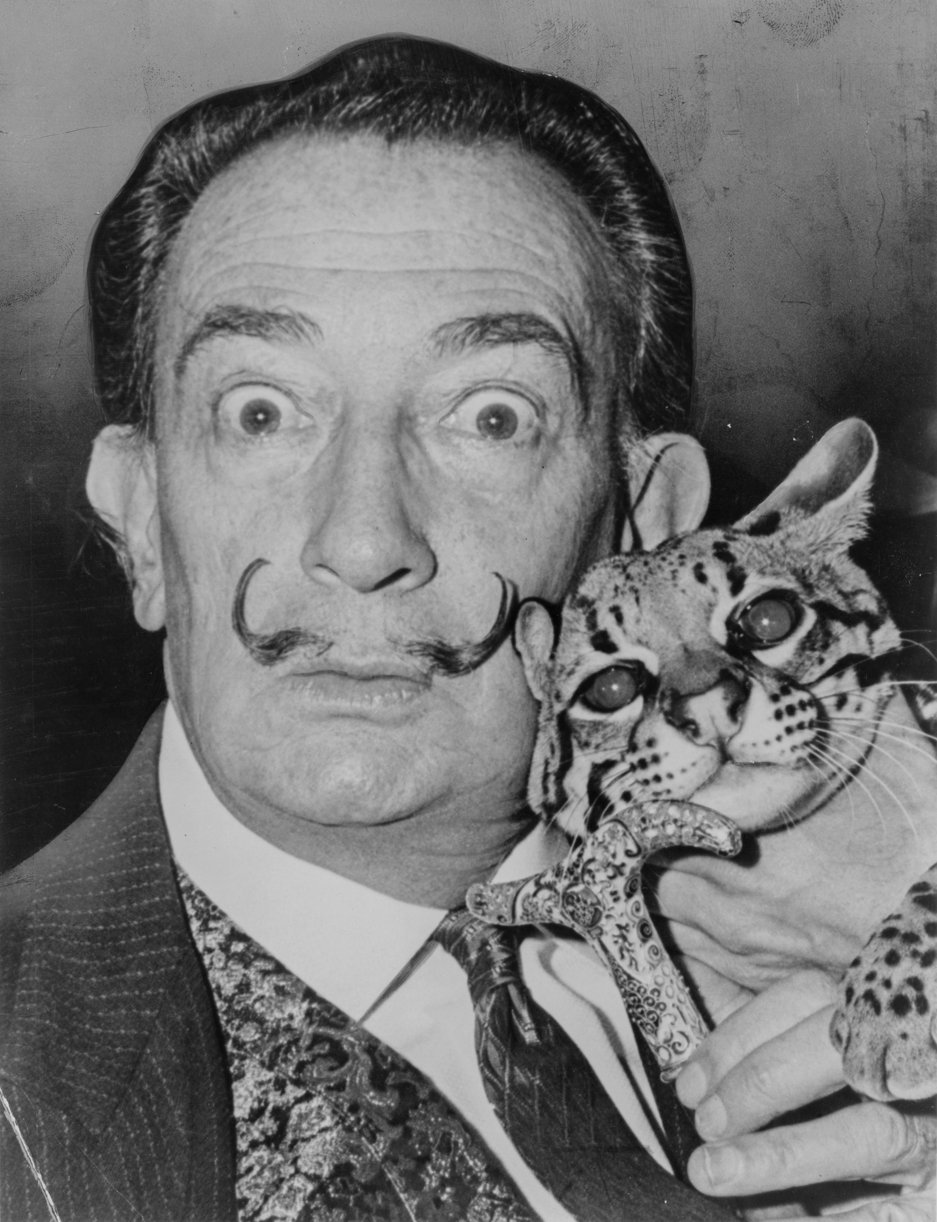1547226779764-Salvador_Dali_NYWTS