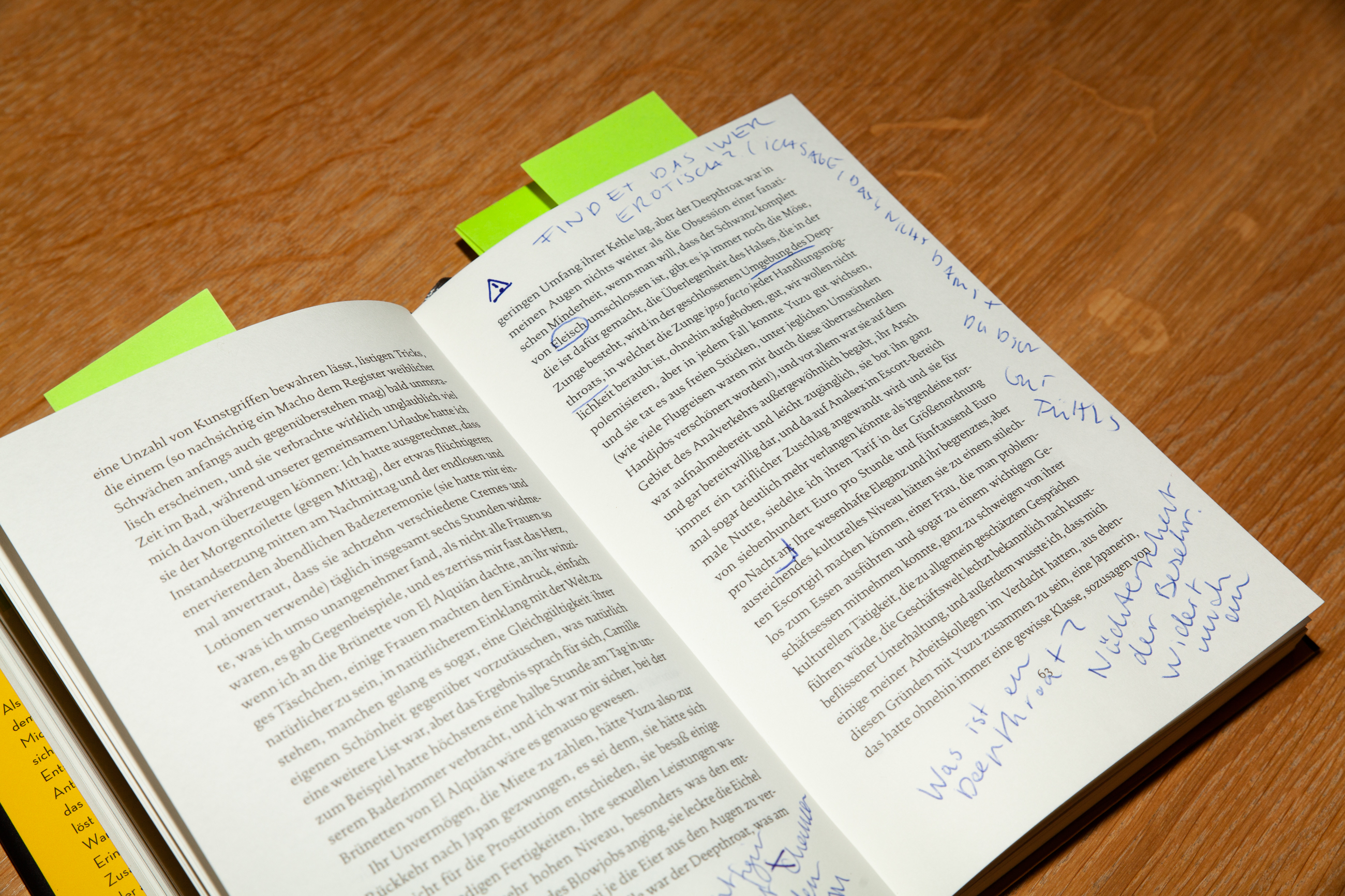 1547466195017-Houellebecq-1993