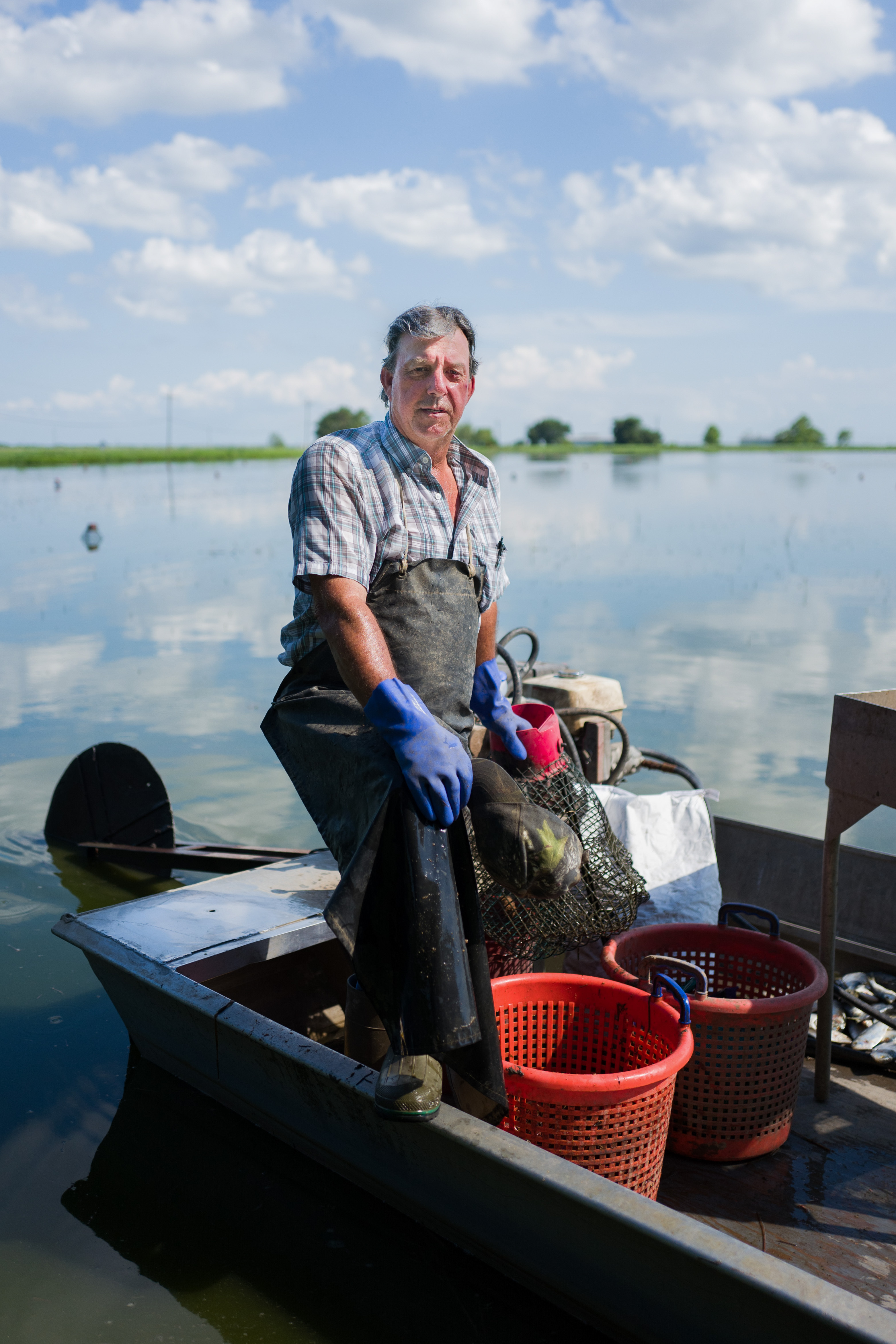Ecrevisse Louisiane Katrina 10