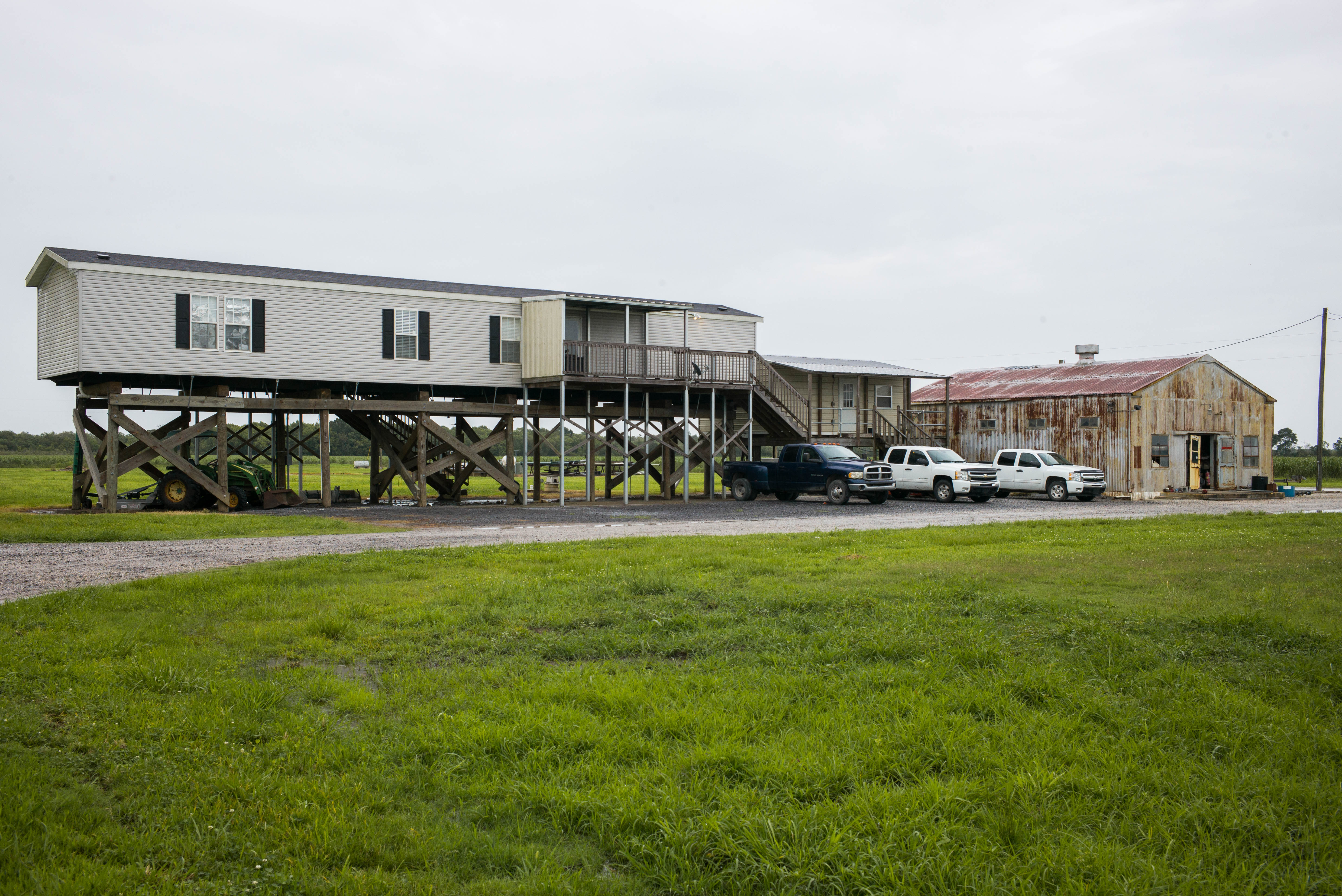 Ecrevisse Louisiane 26