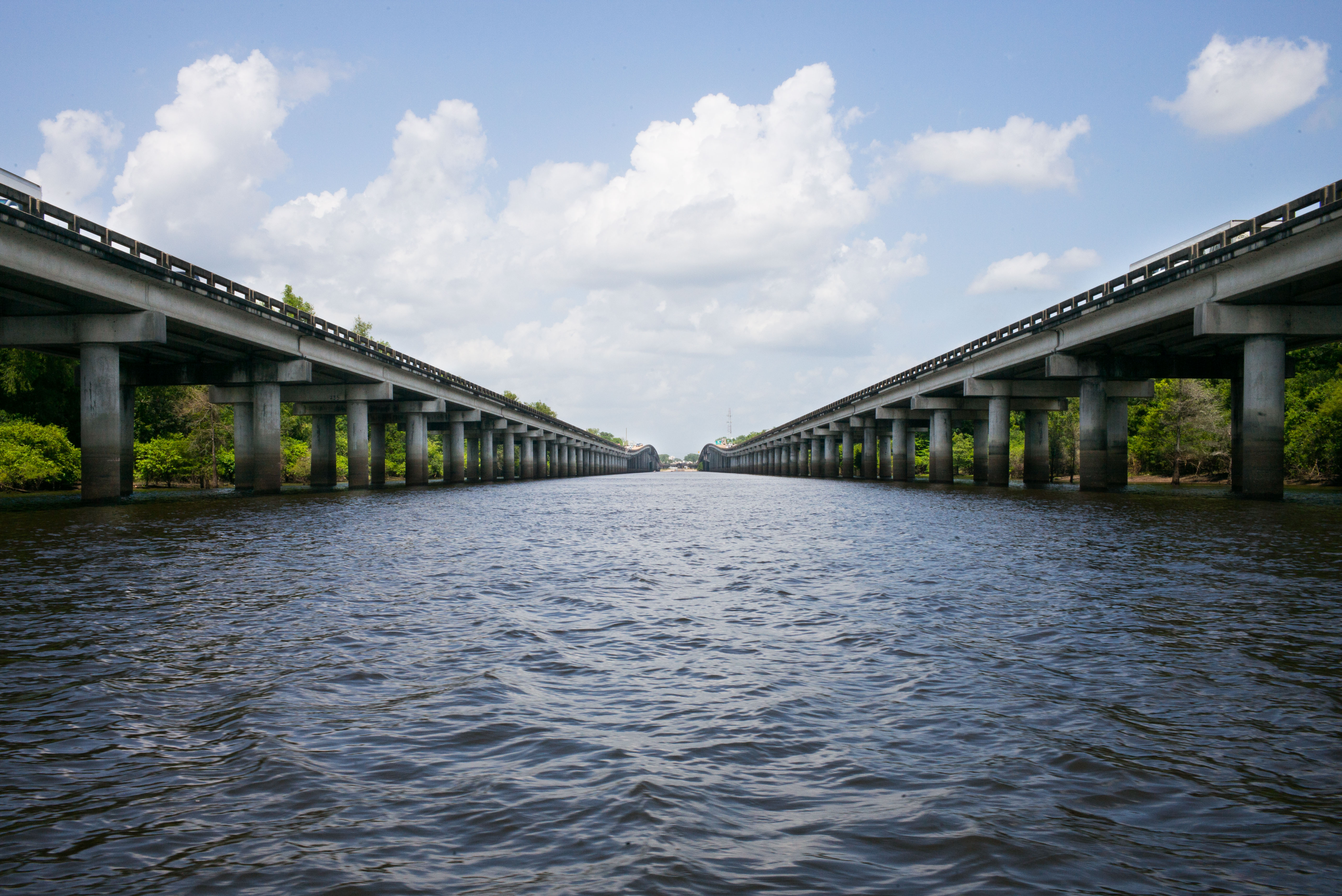 Ecrevisse Katrina 27