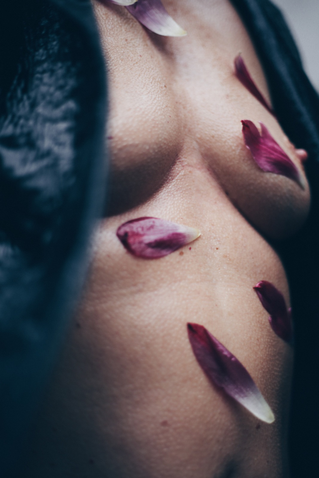 Lana Prins