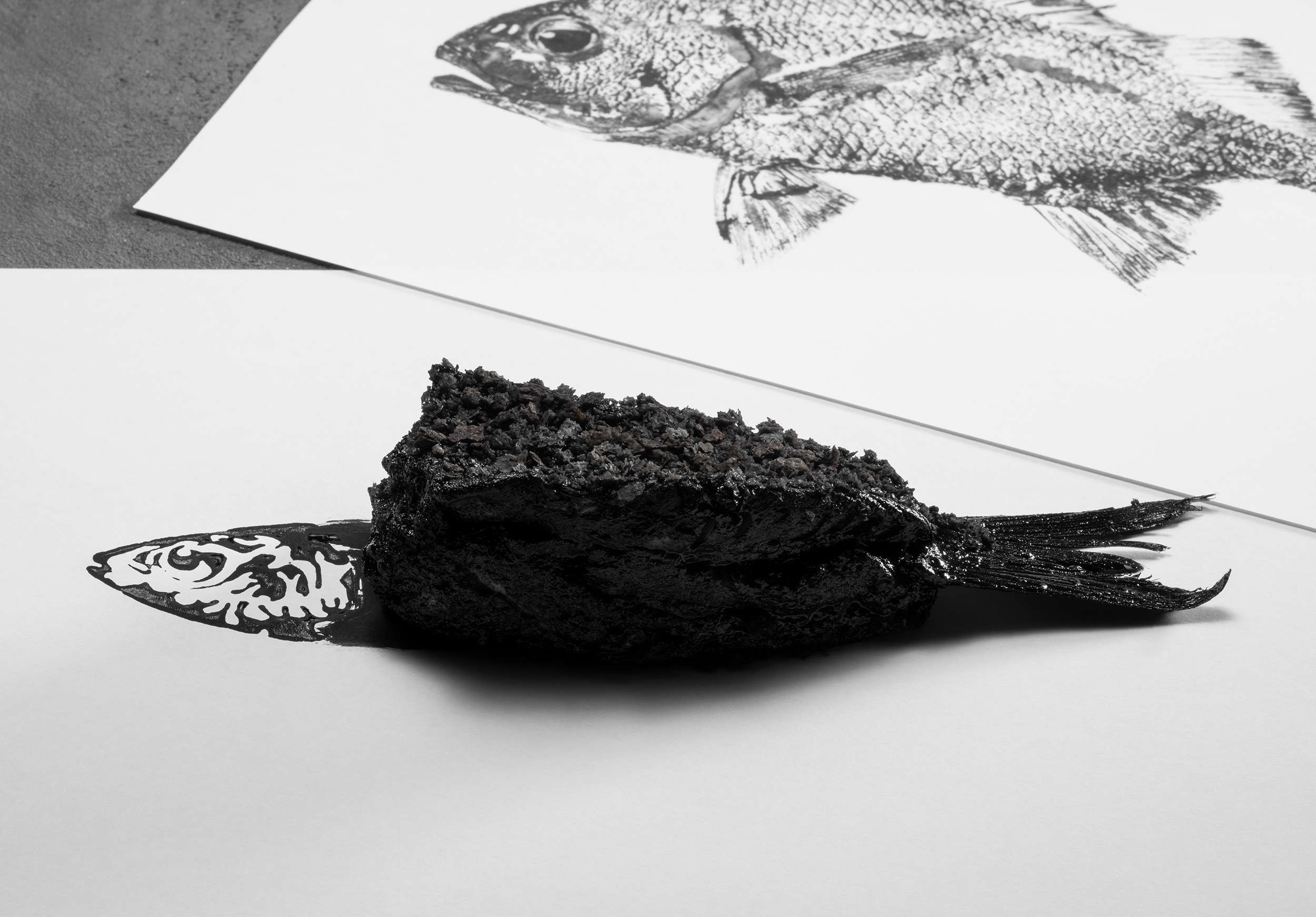 Yoji-Tokuyoshi-gyotaku