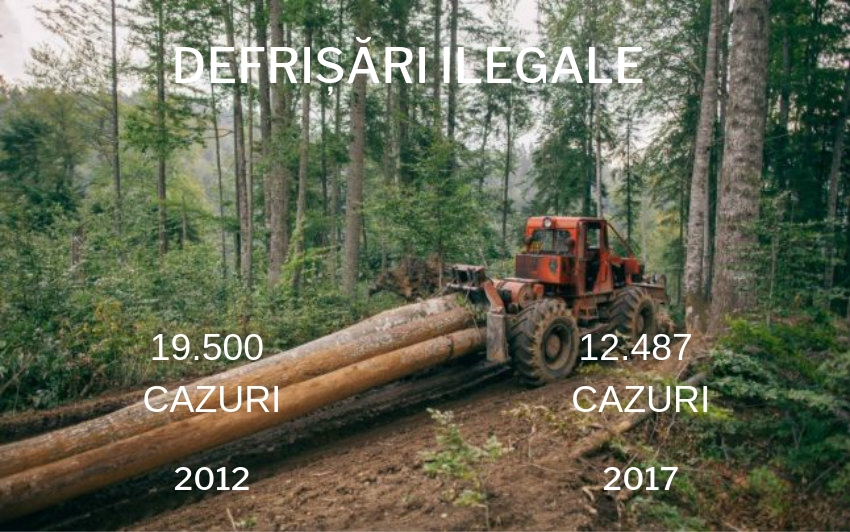 DEFRISARI-ILEGALE