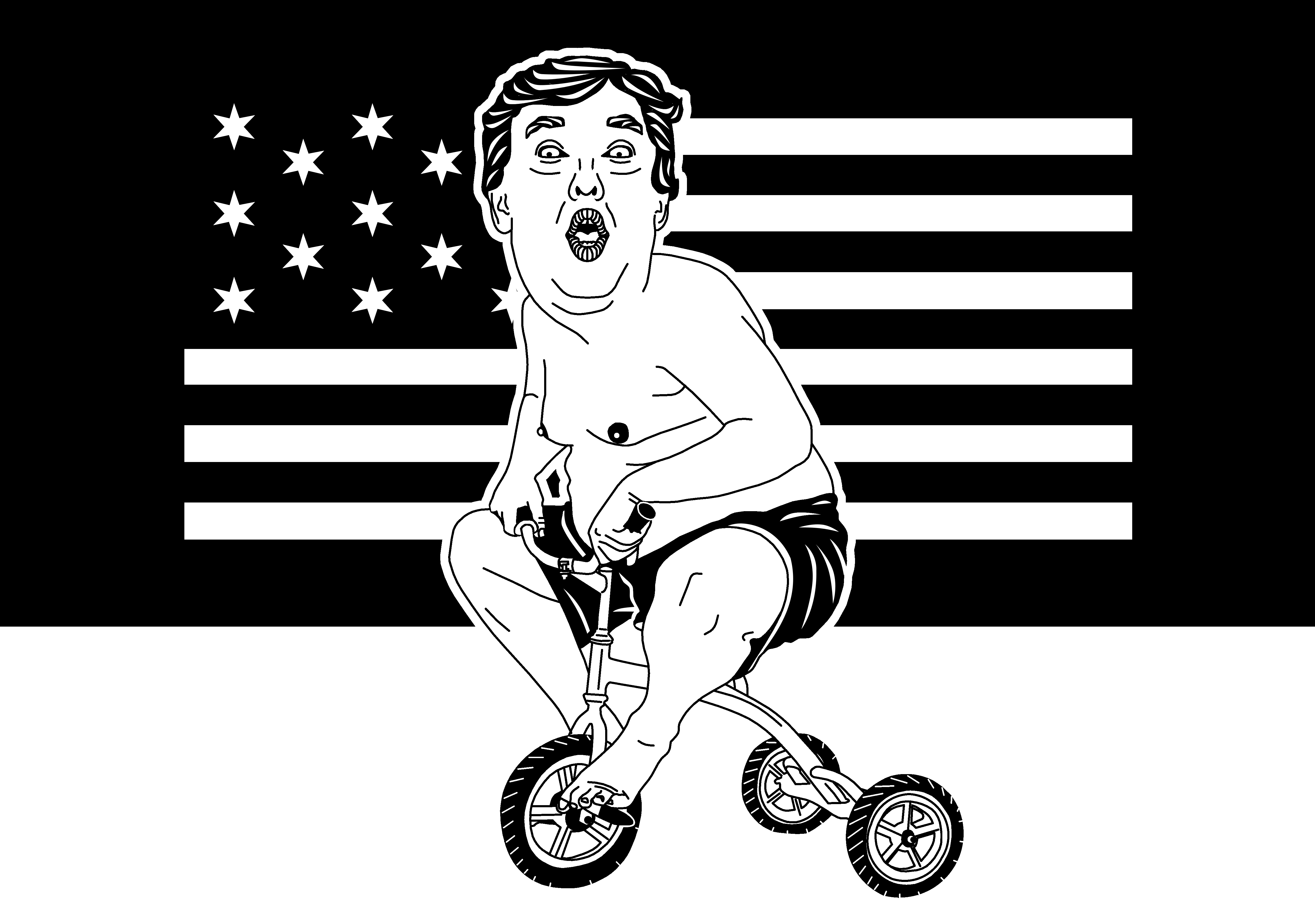 1547825225156-Diego-Bonci_Donald