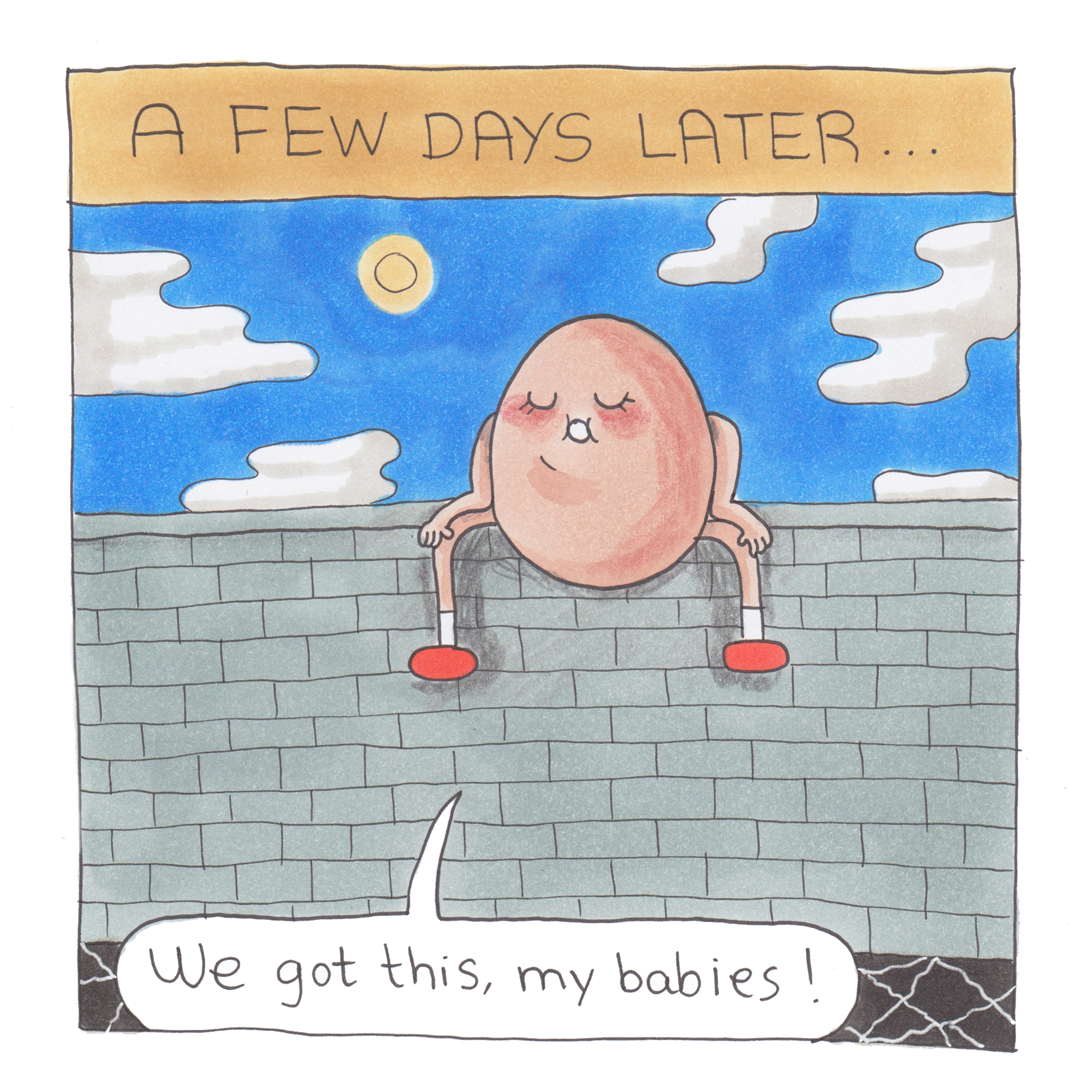 egg 5