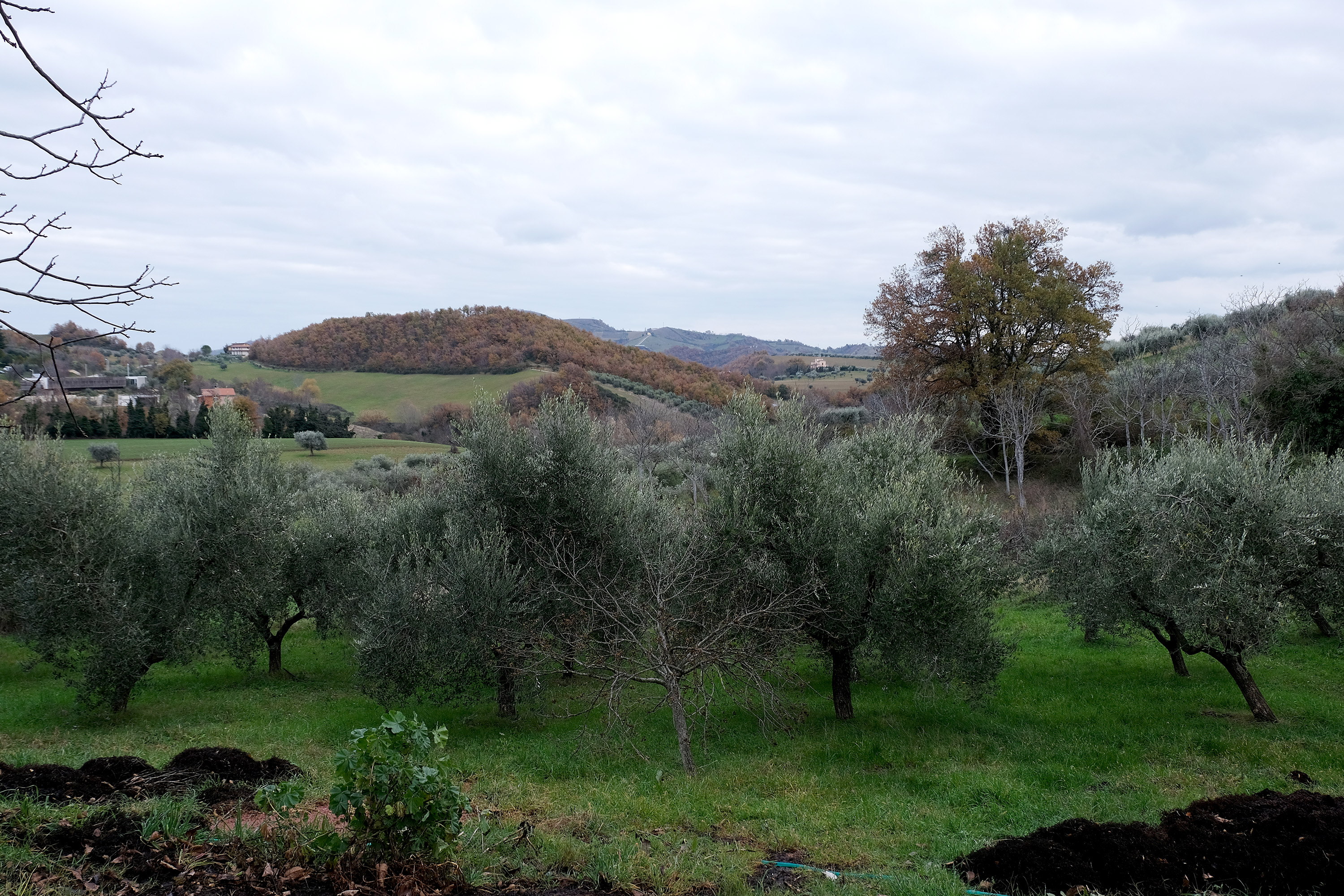 VILLA_BROZZI