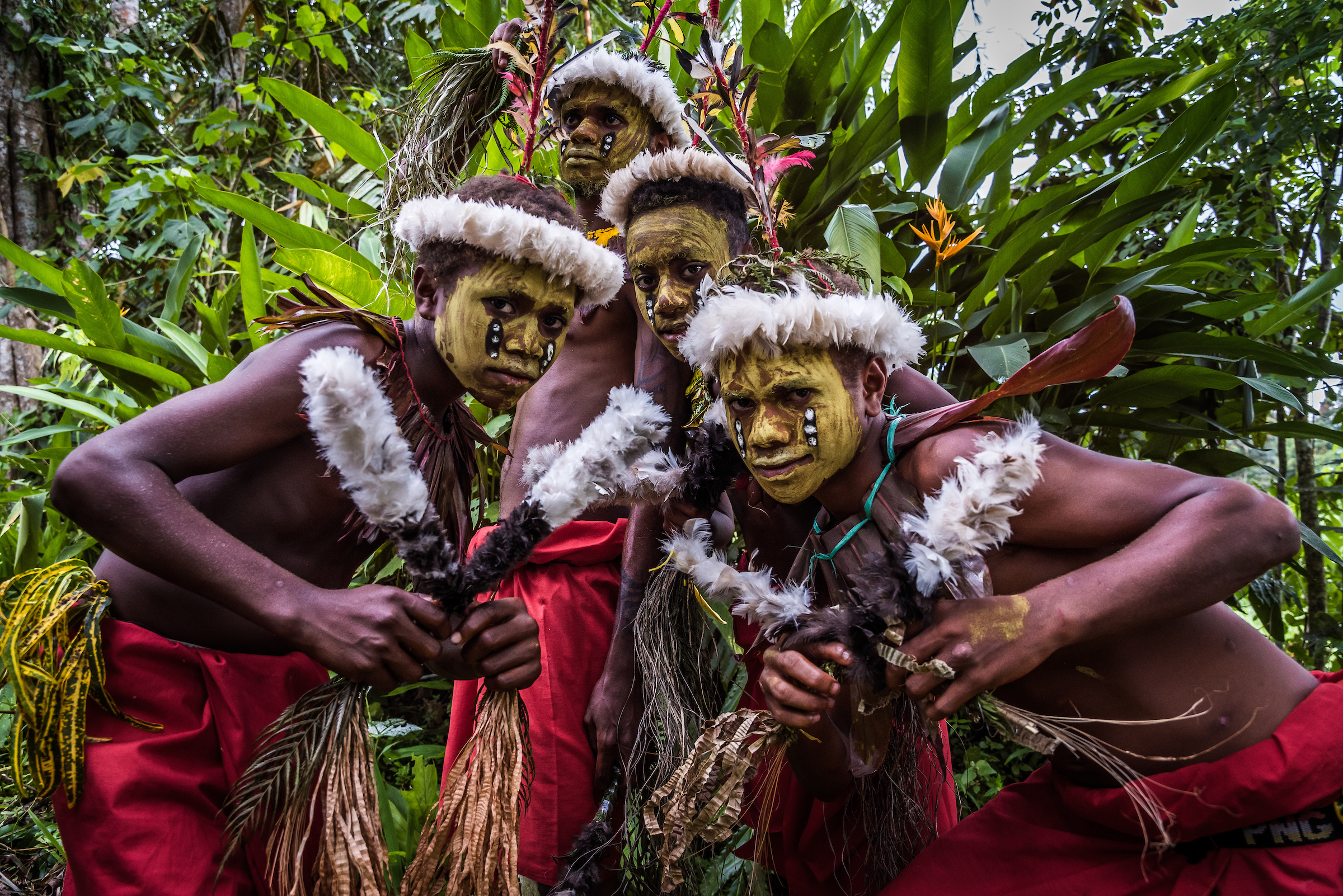 Народы новой гвинеи. Папуасы новой Гвинеи. Папуа новая Гвинея жители. Традиции новой Гвинеи. Новая Гвинея люди.