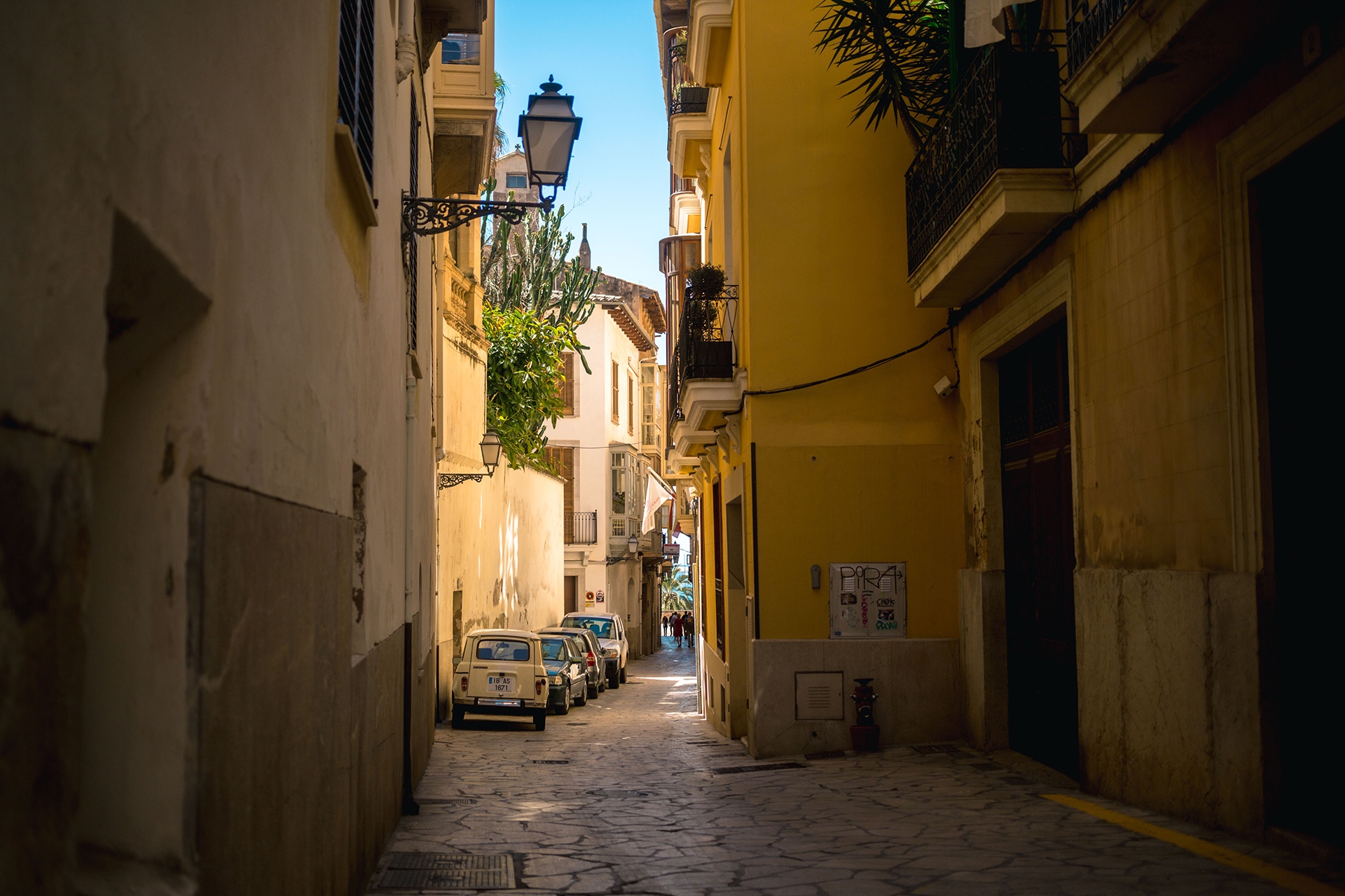 Best Travel Destinations 2019 Palma