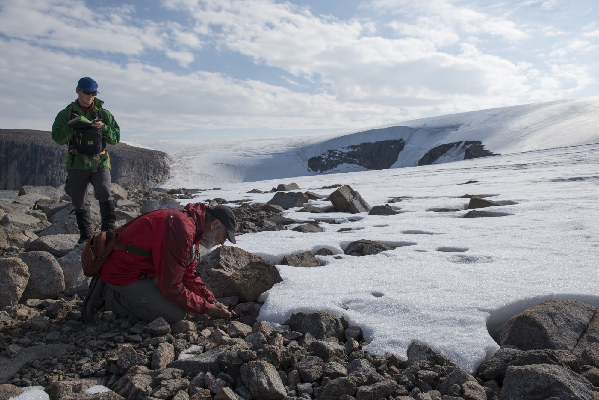 The team collects dead moss from the edge of a glacier on Baffin Island.