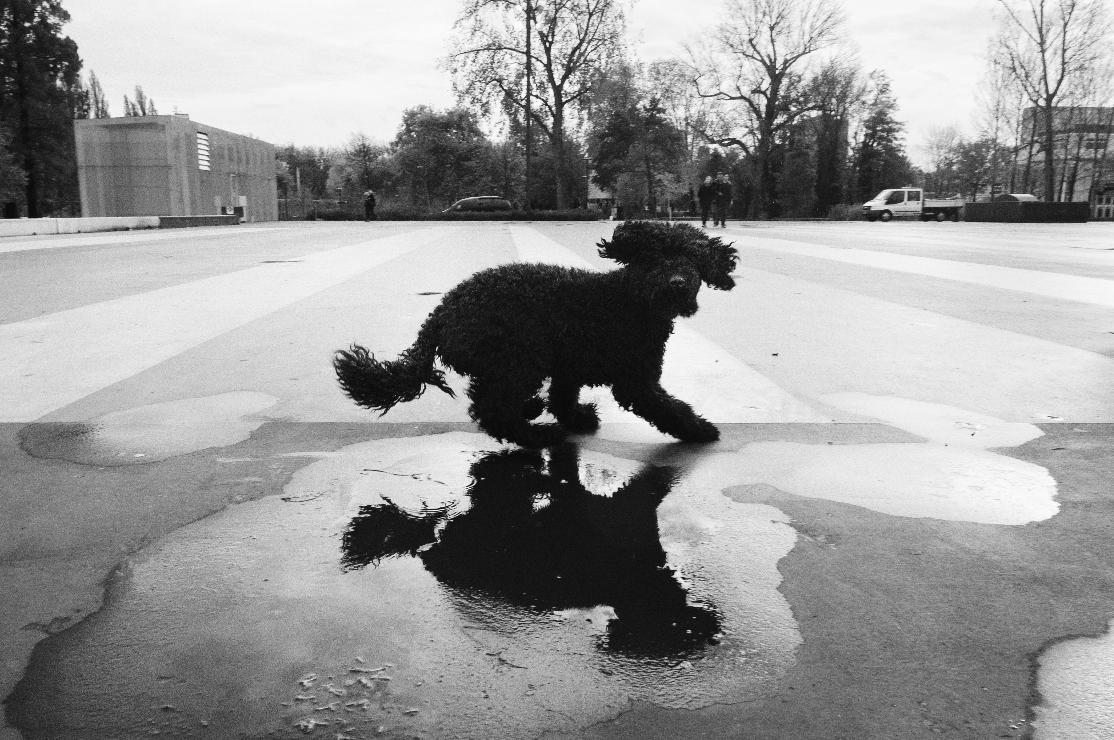 foto Merel Schoneveld