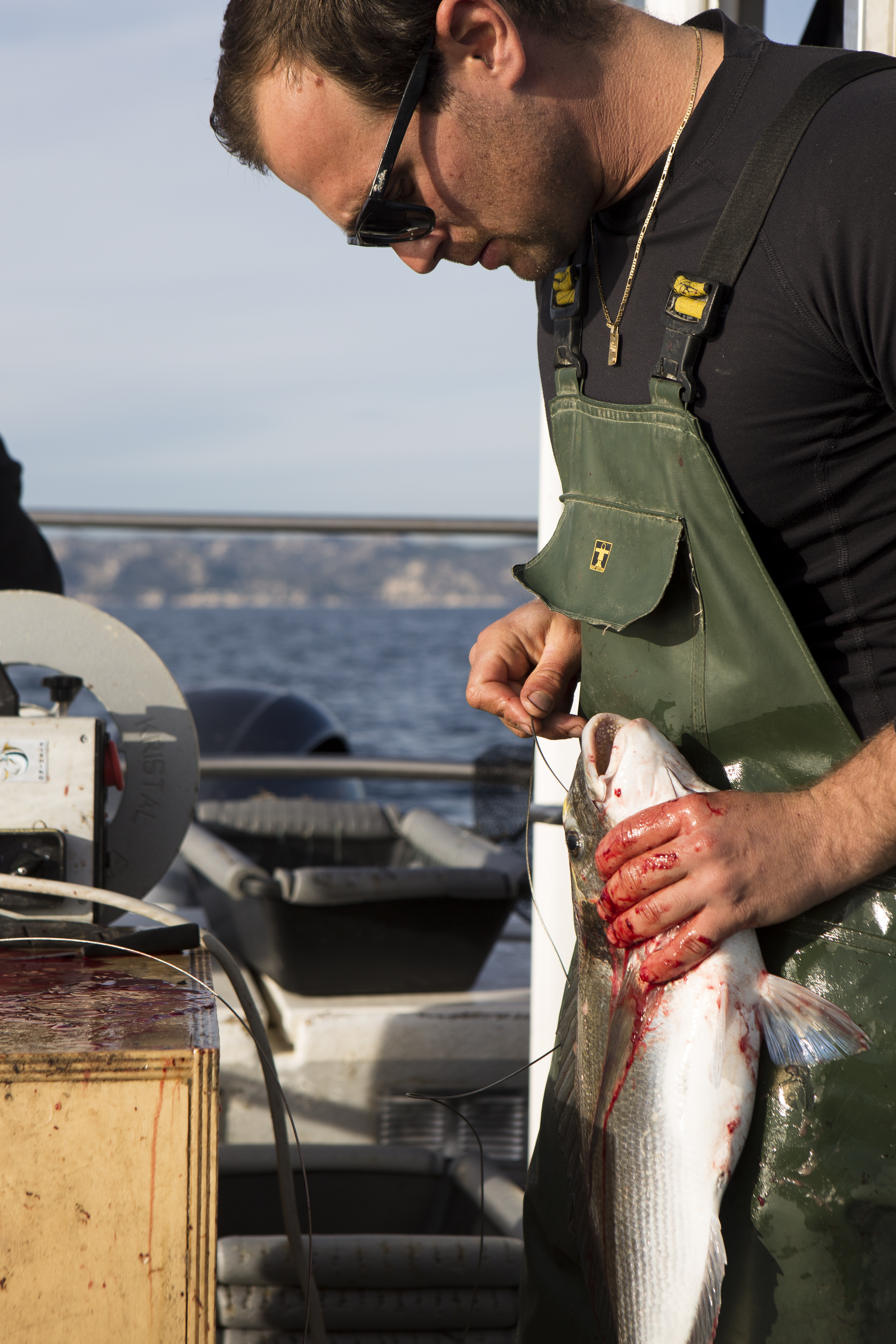 Pêcheur Ikejime Marseille 8