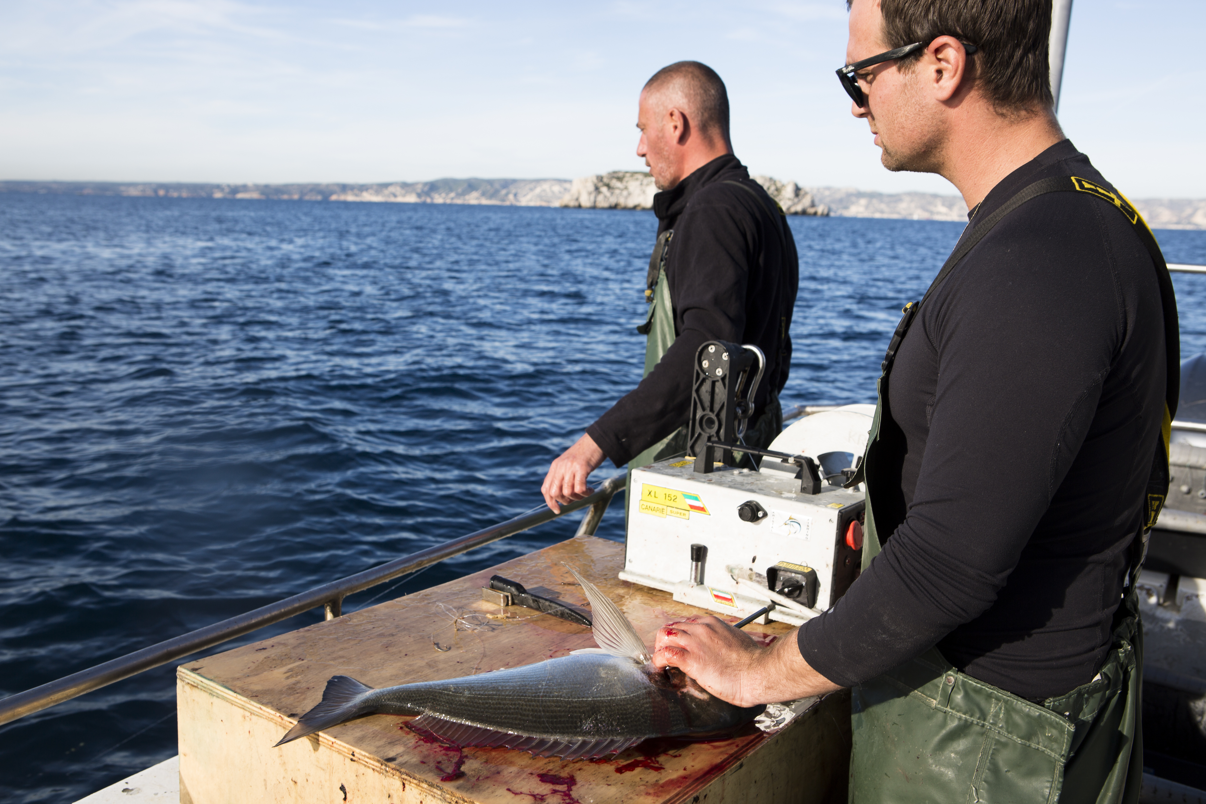 Pêcheur Marseille Ikejime 23