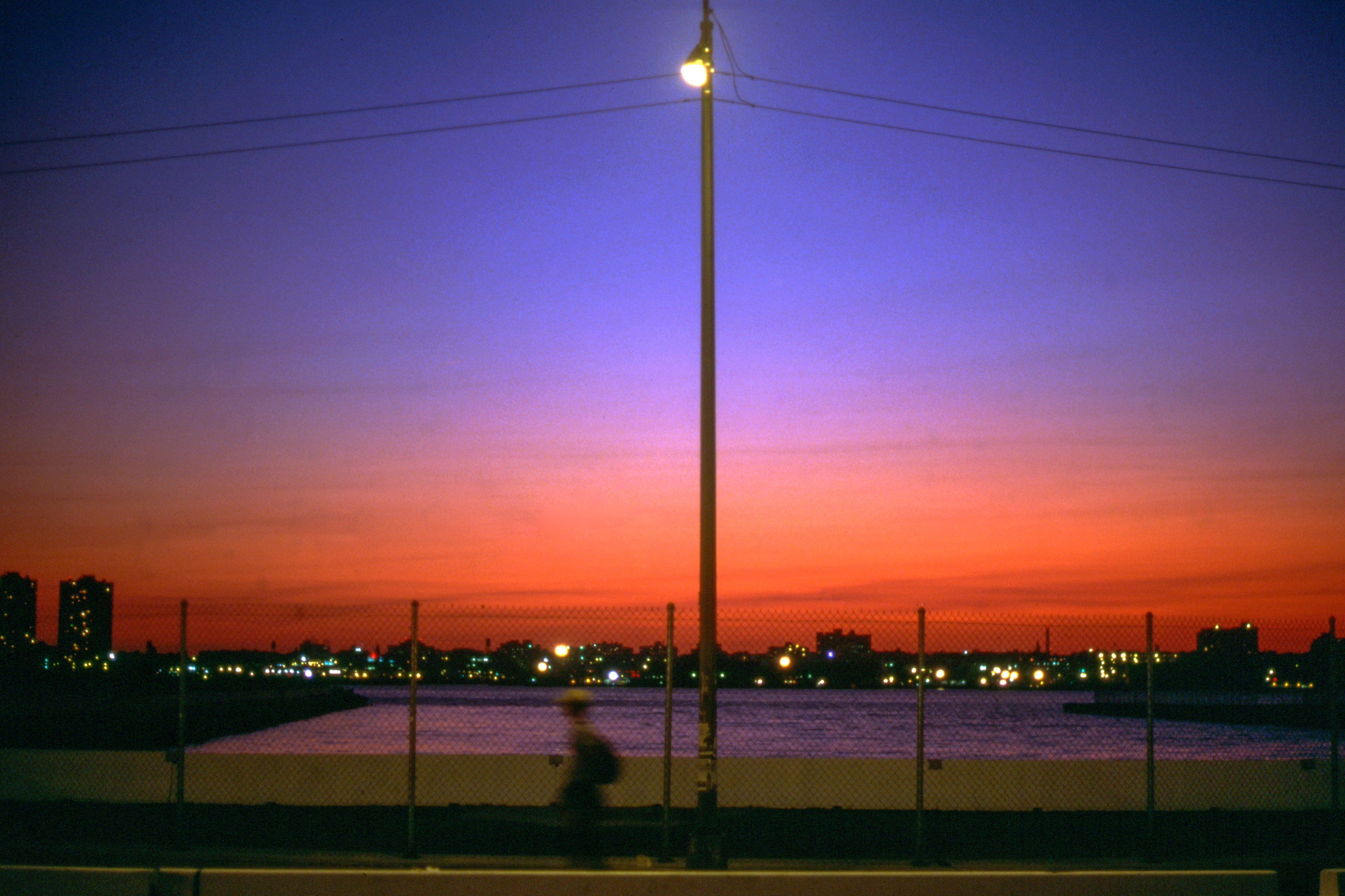 1549292032760-Pier45_Renaldi06