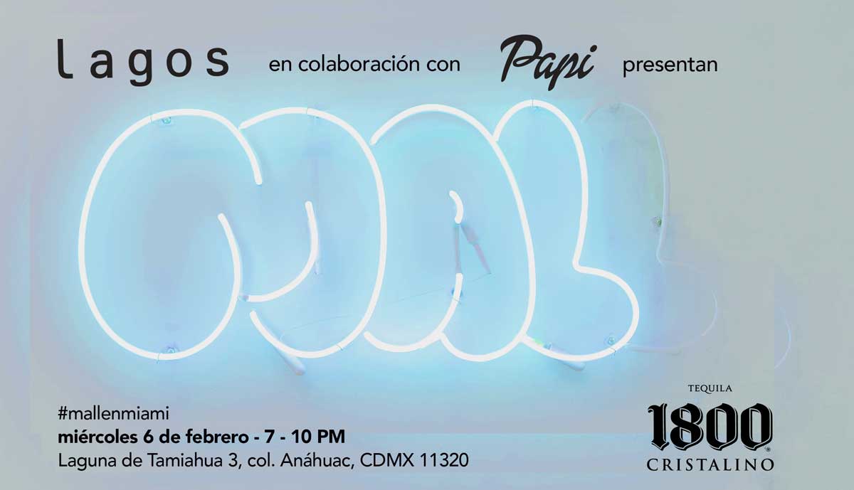 MALL-inaguracion-material