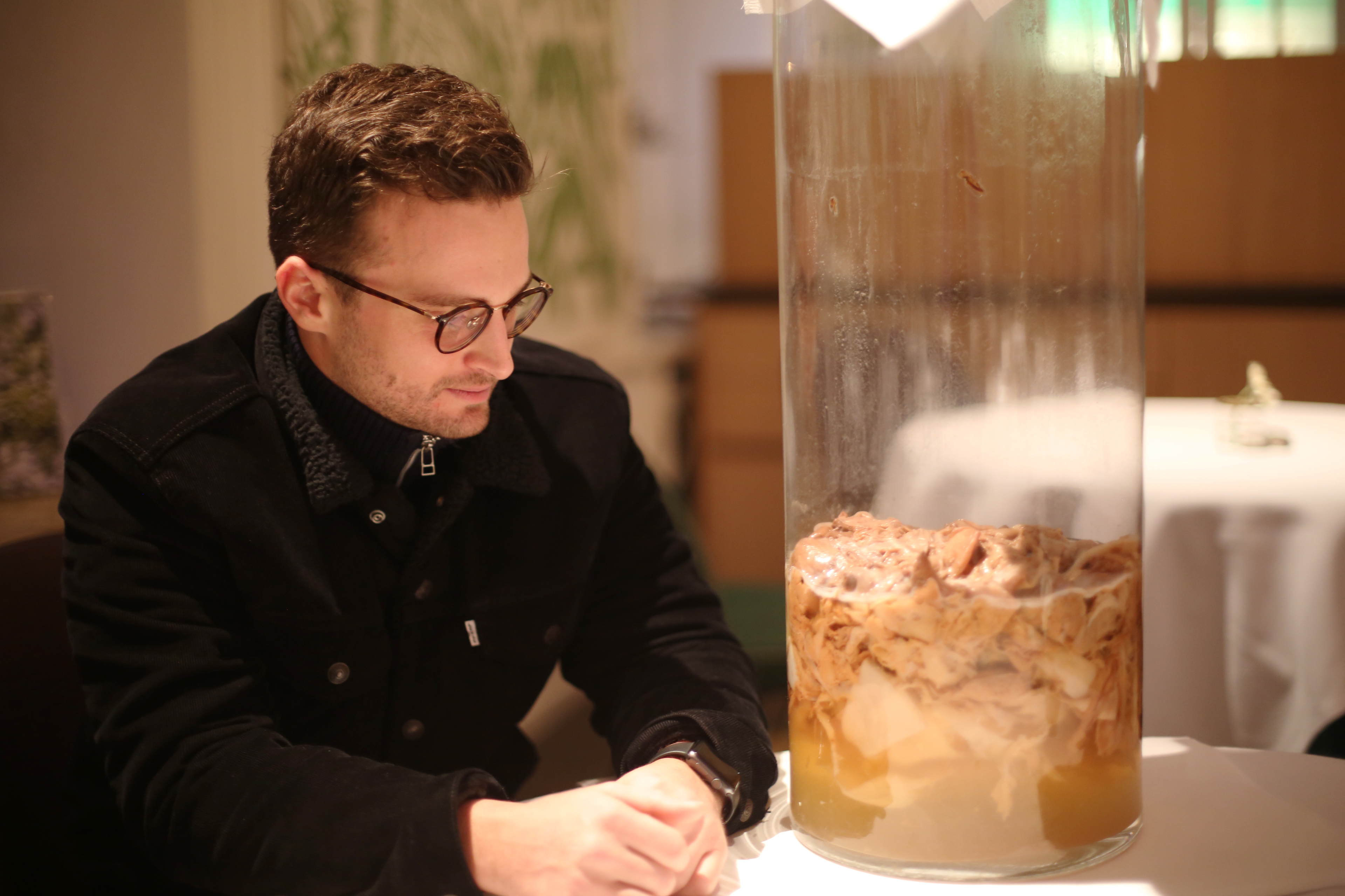 Sommelier kigger på sin kombucha-moder