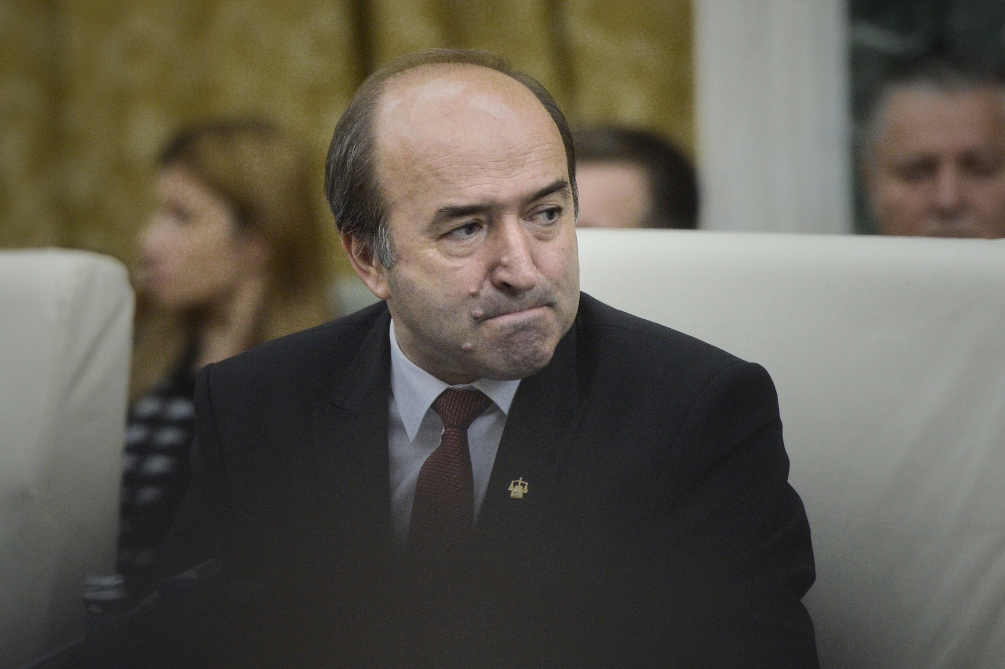 tudorel toader