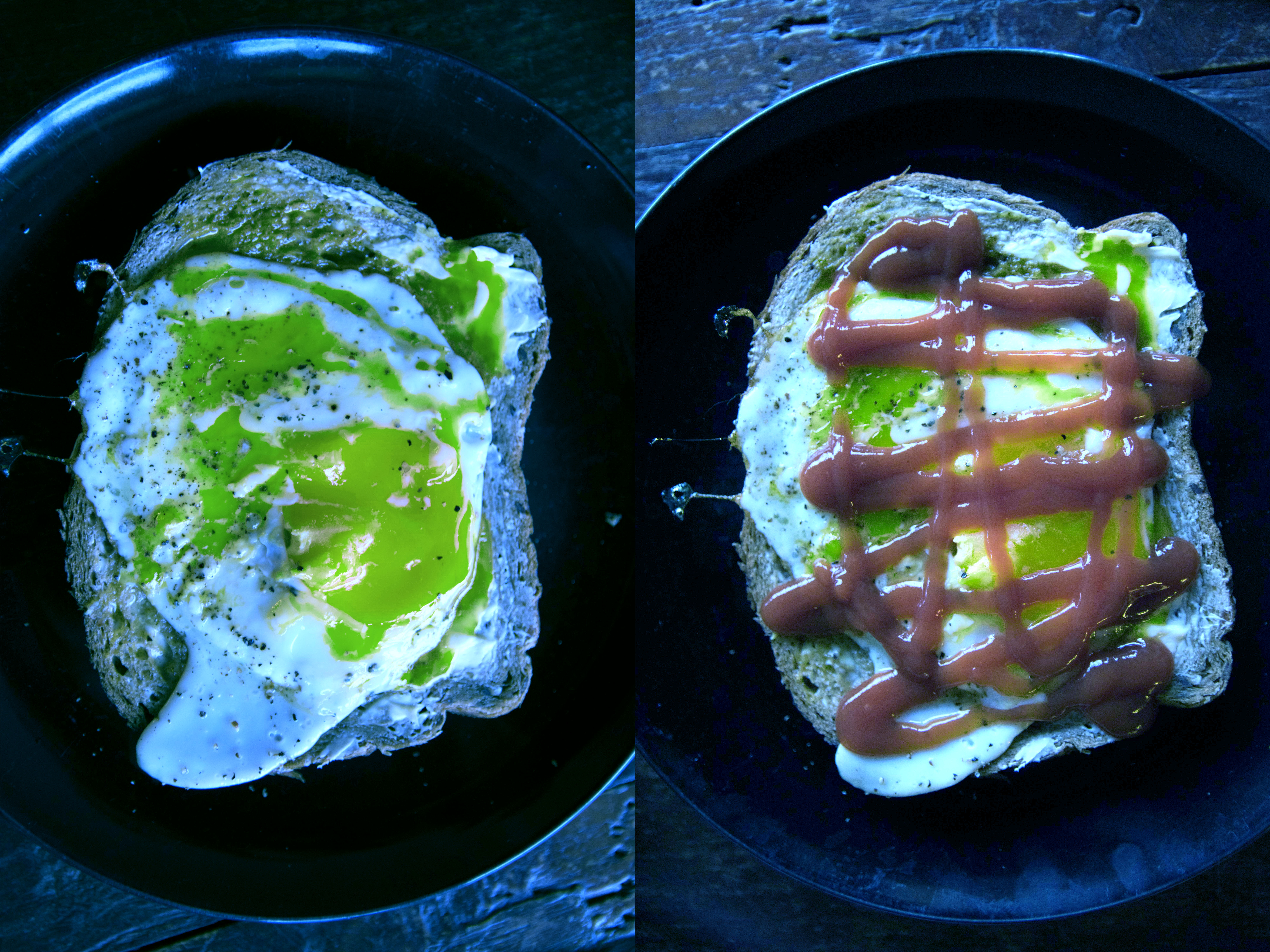 1549540872187-MAUDIE_BLUE_FOOD