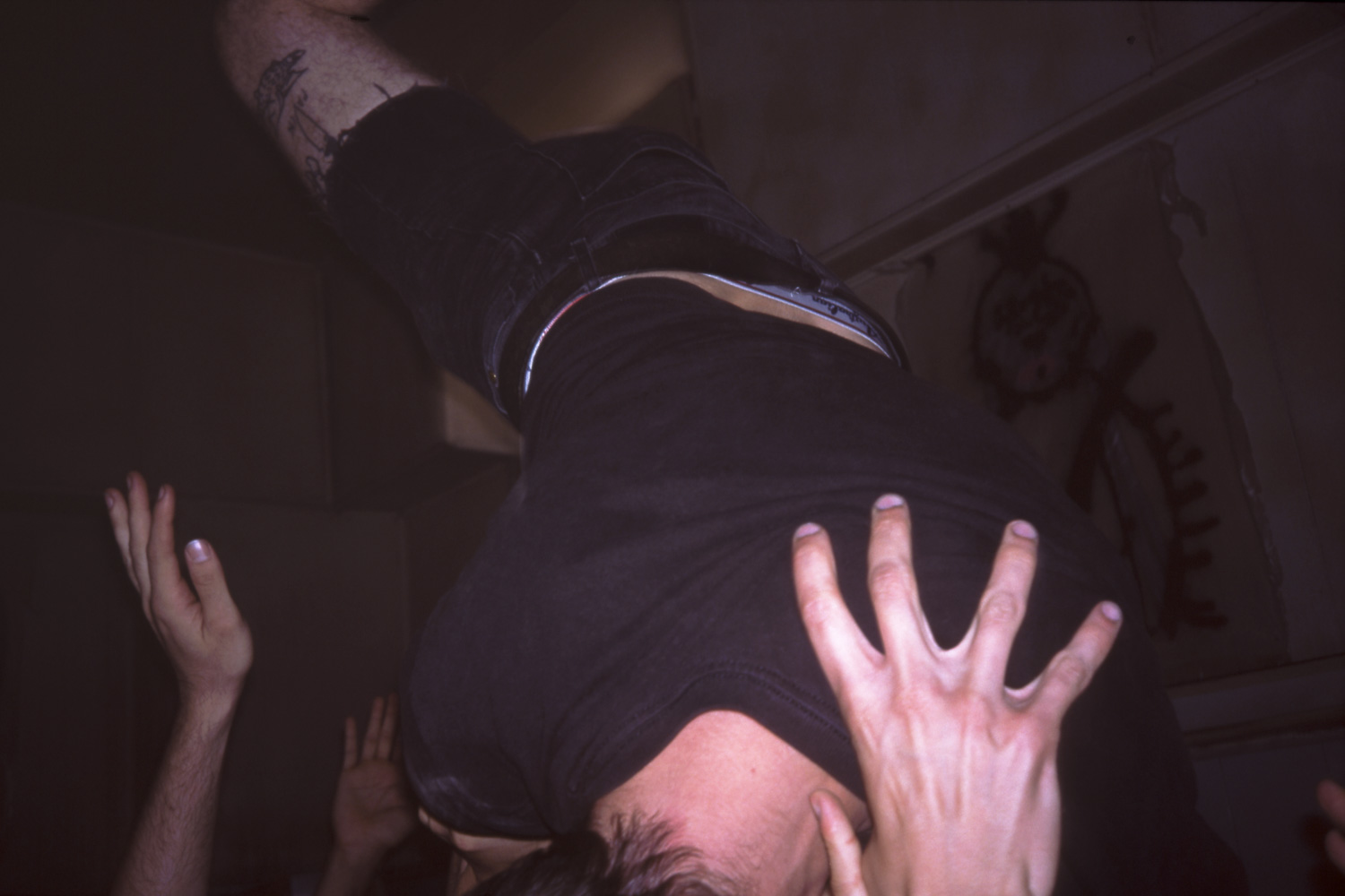rat king marco dapino