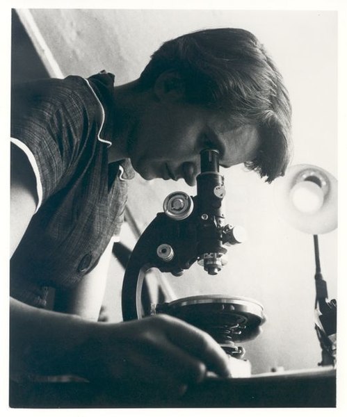 1549558280886-499px-Rosalind_Franklin