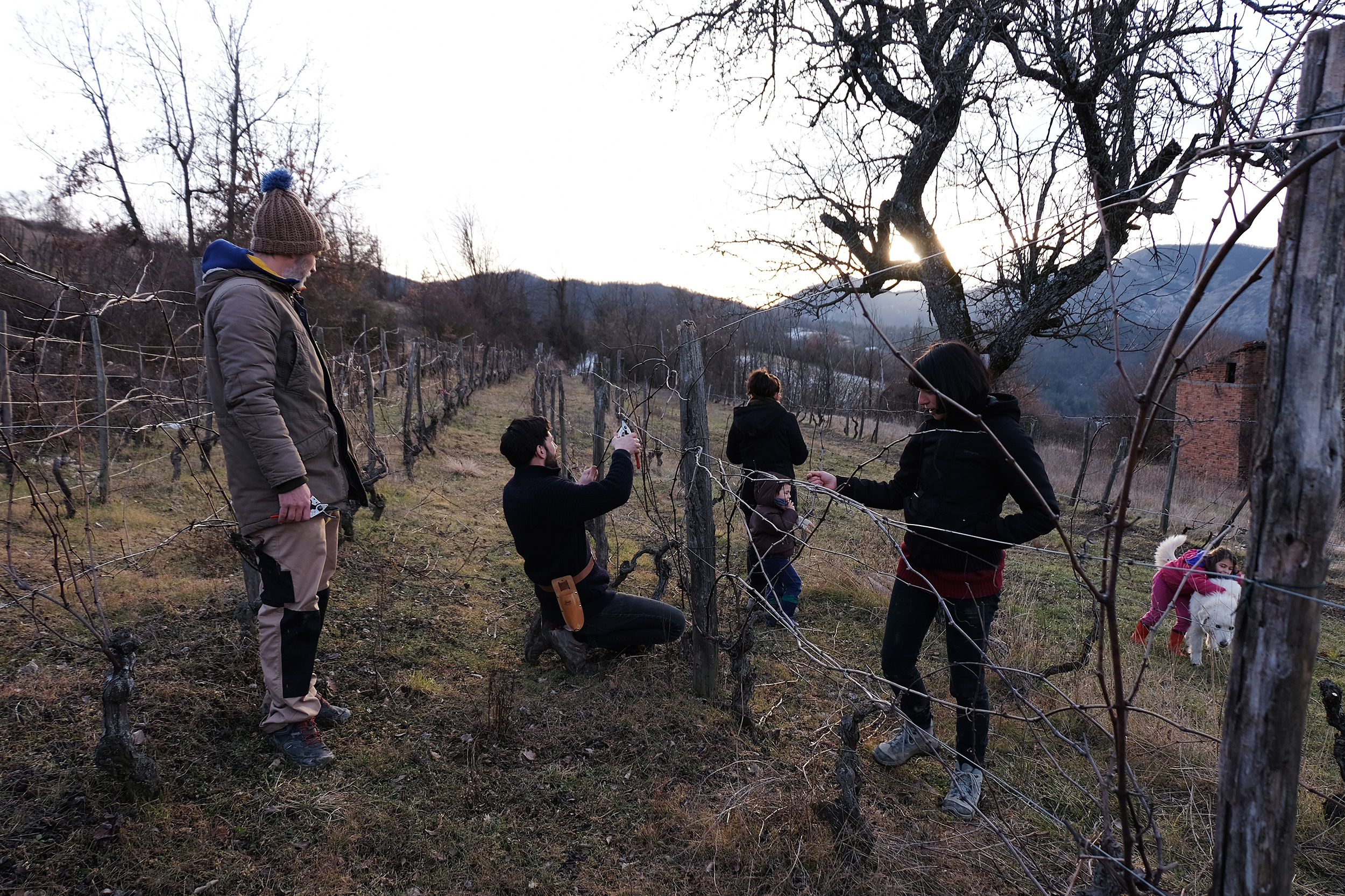 Cascina-Barban-Ex-Otago-potatura