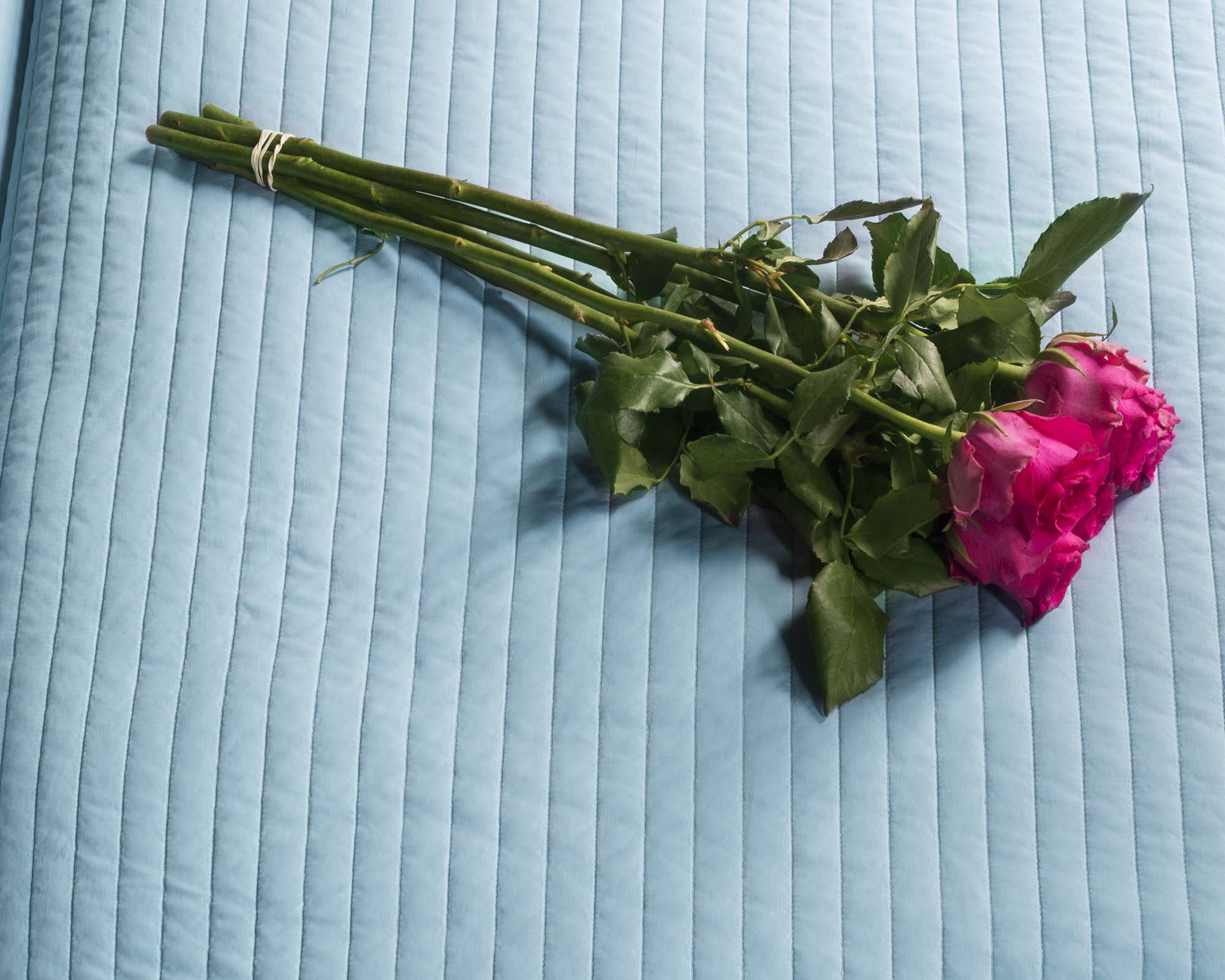 rozen-op-bed-Jonas-Van-der-Haegen-where-did-we-meet-last-time