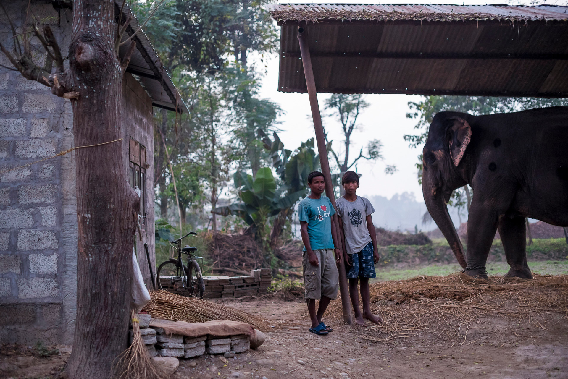 1549892368148-Elephant-Tourism-Nepal-9-of-13