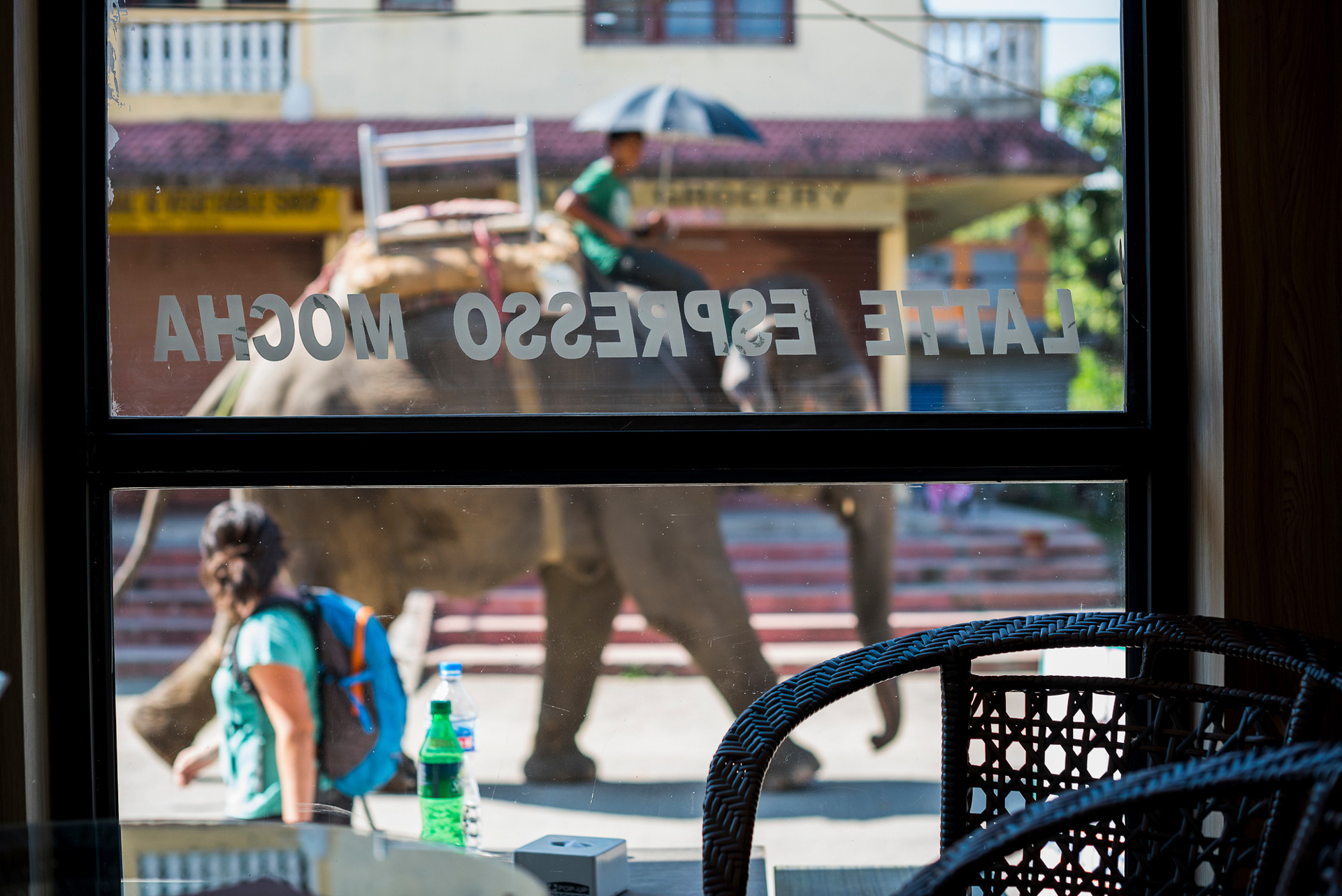 1549892757282-Elephant-Tourism-Nepal-12-of-13