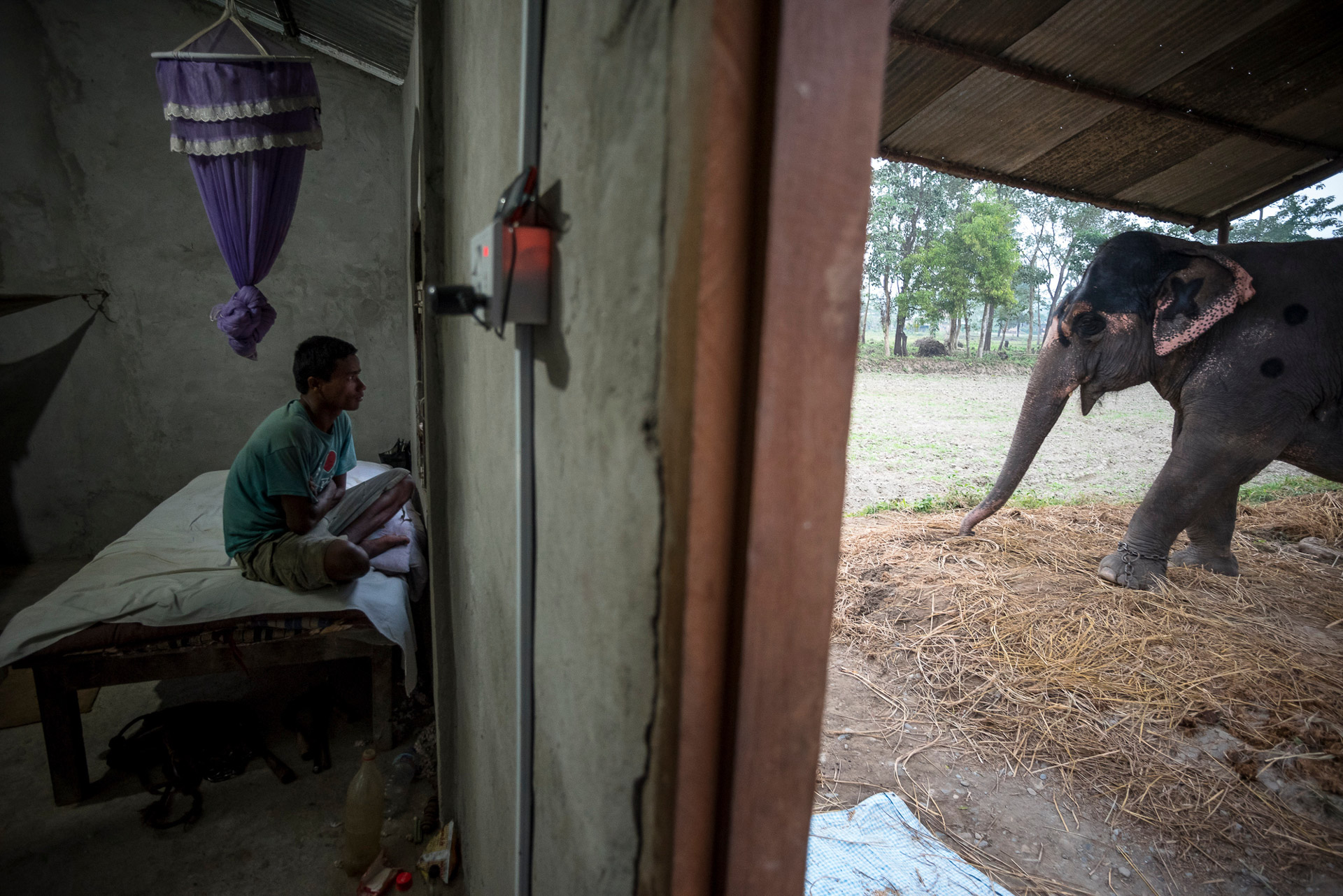 1549892800367-Elephant-Tourism-Nepal-13-of-13