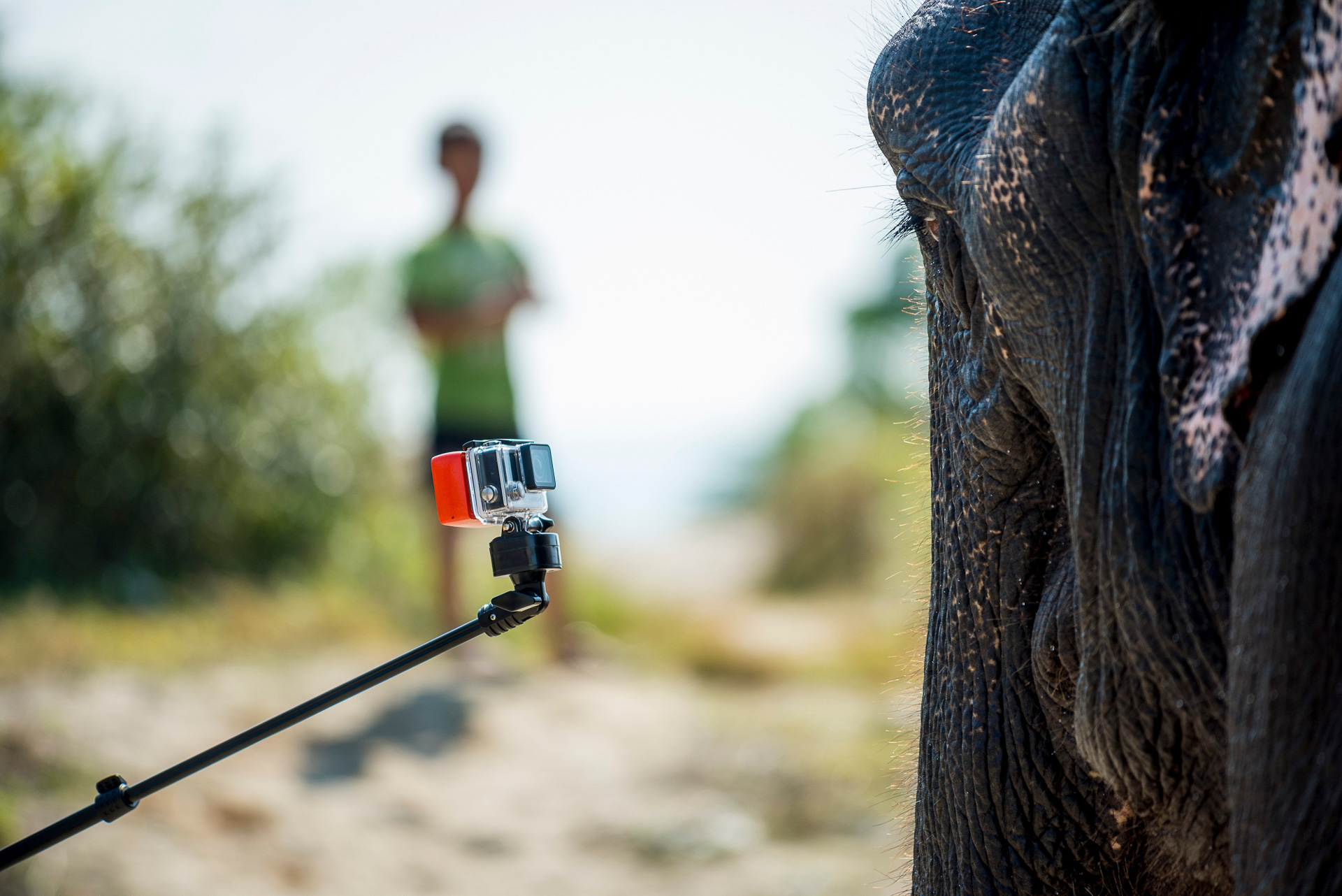 1549892890730-Elephant-Tourism-Nepal-11-of-13