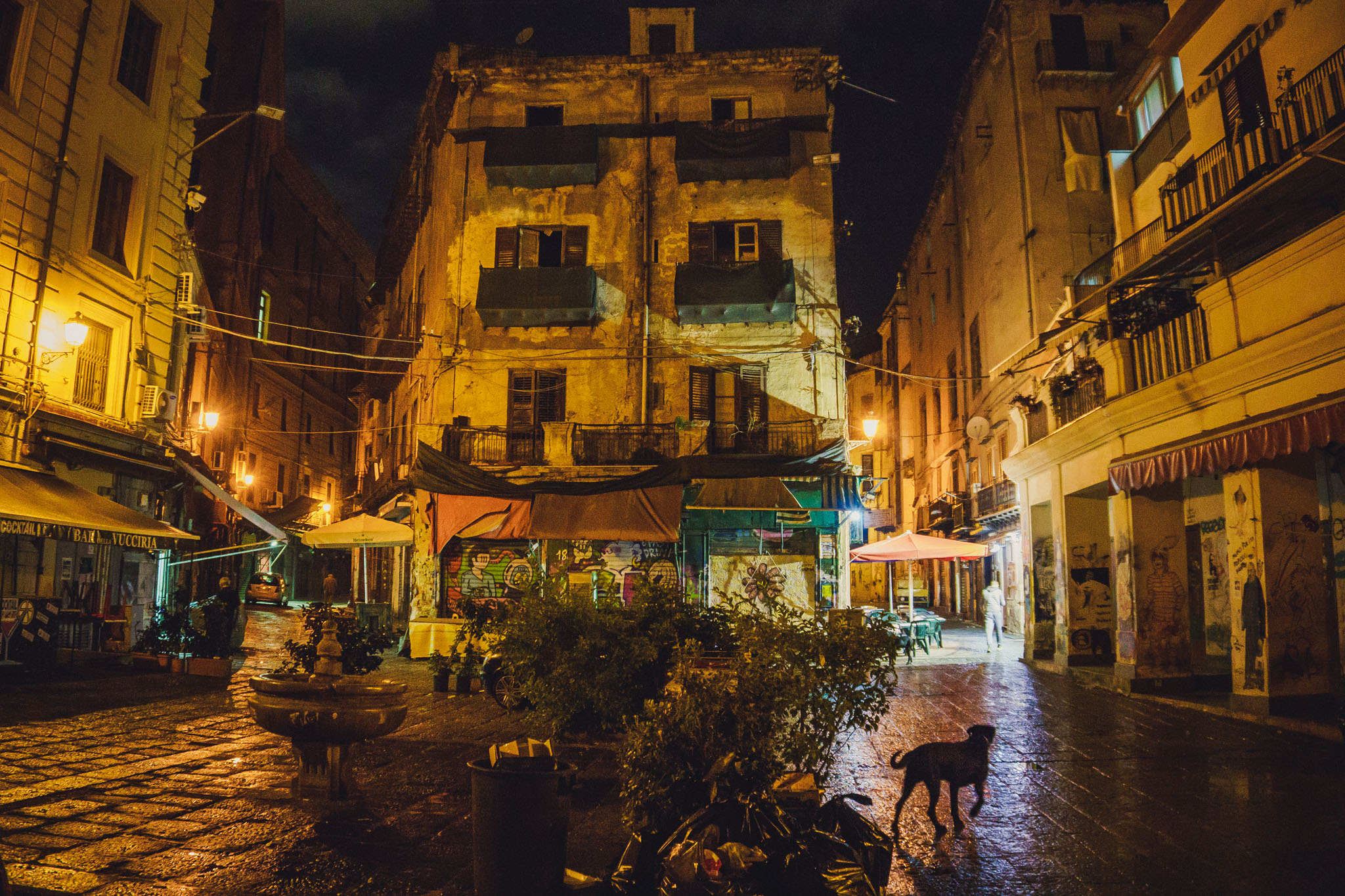 vacanta-Palermo-2